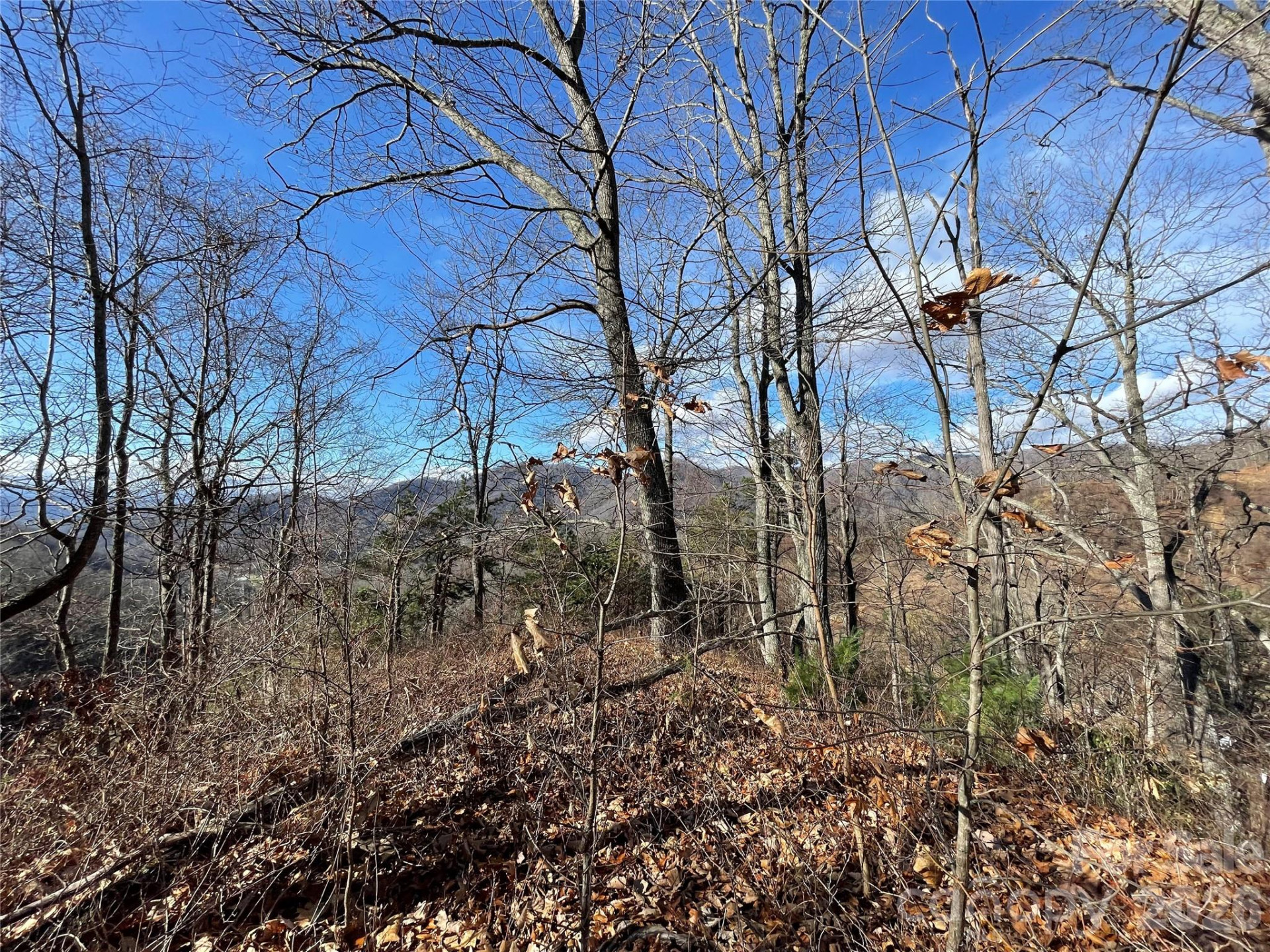 00 Wilson Cove Road - Photo 24