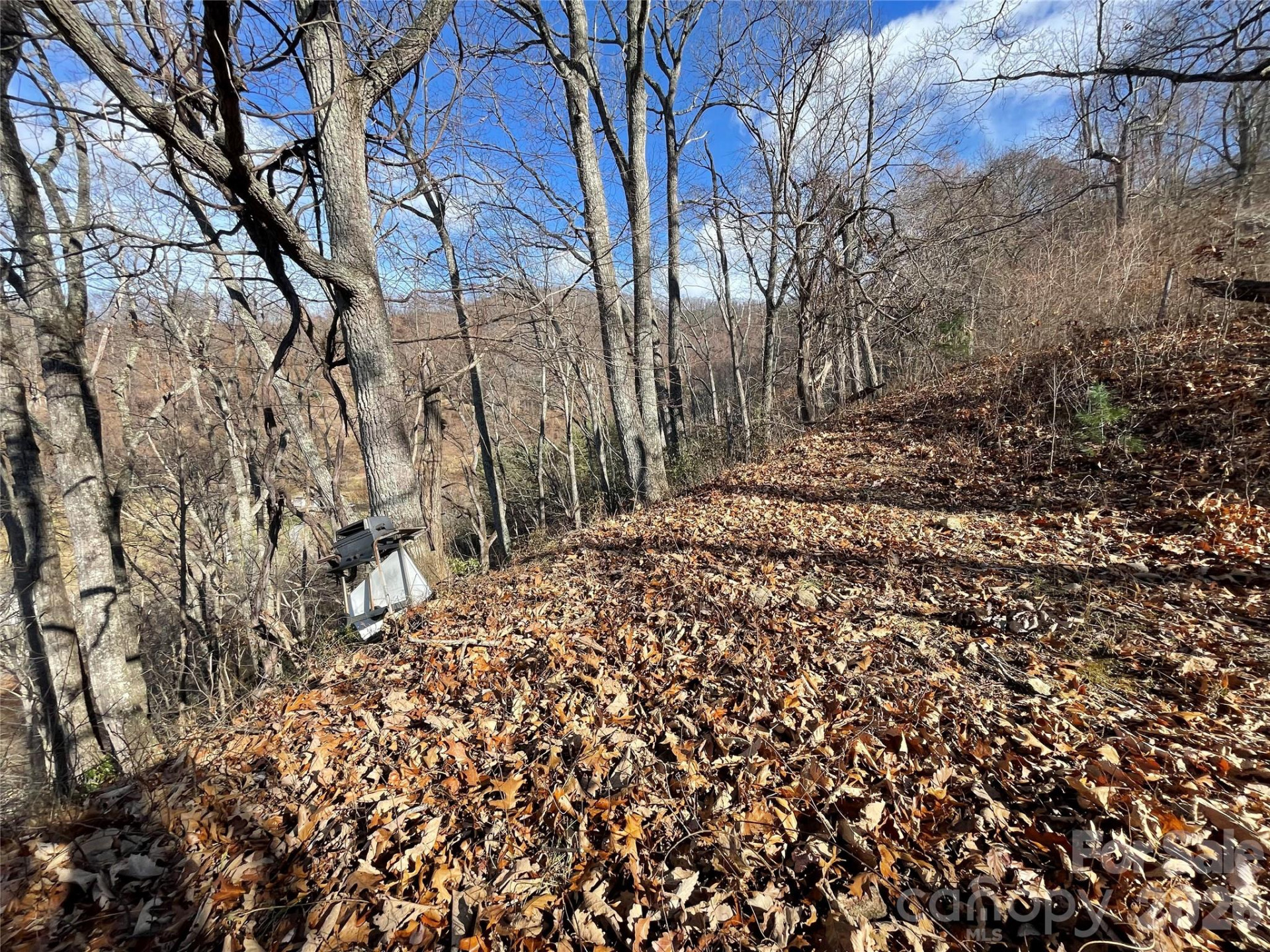 00 Wilson Cove Road - Photo 27