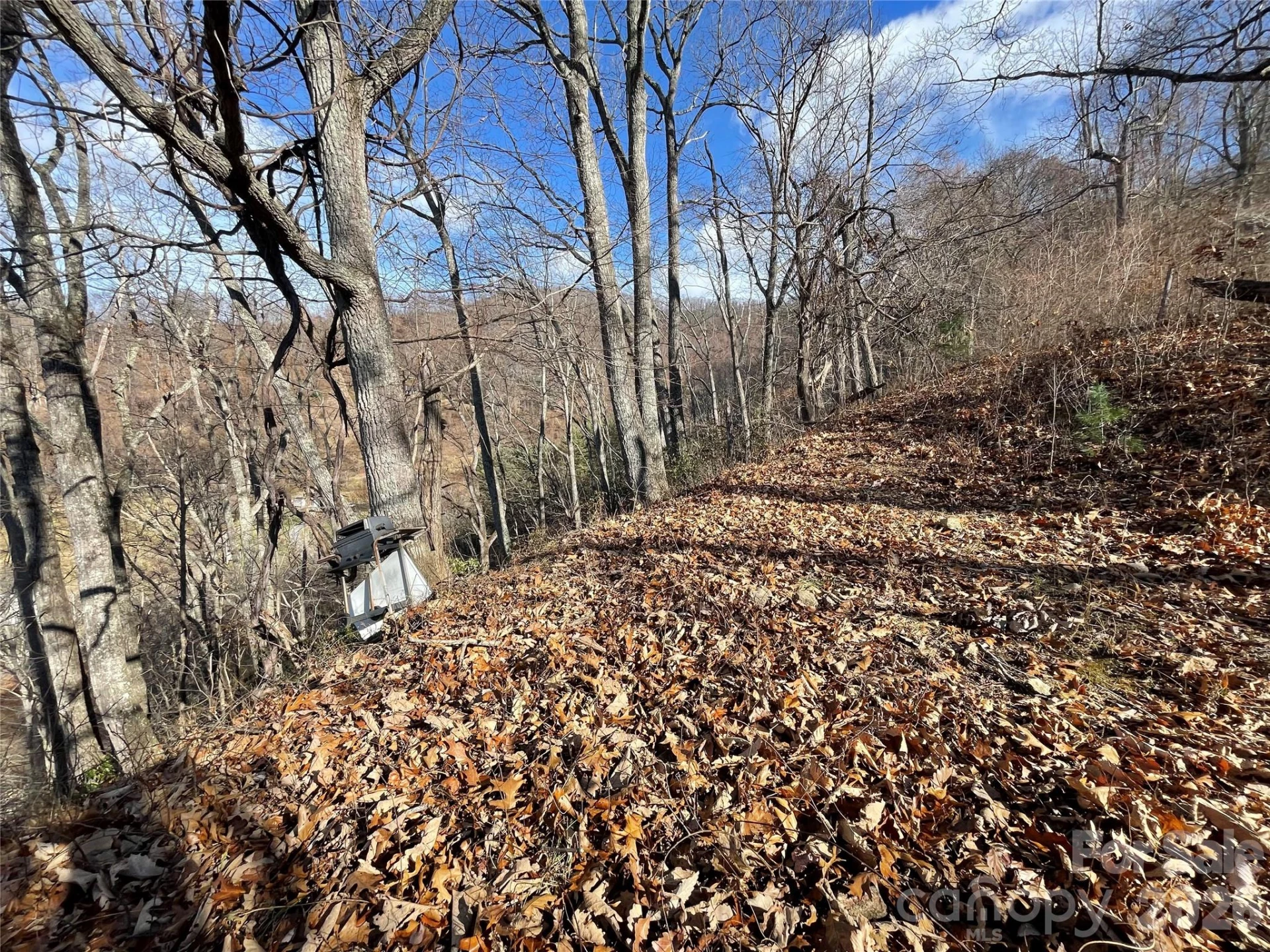 00 Wilson Cove Road - Photo 27