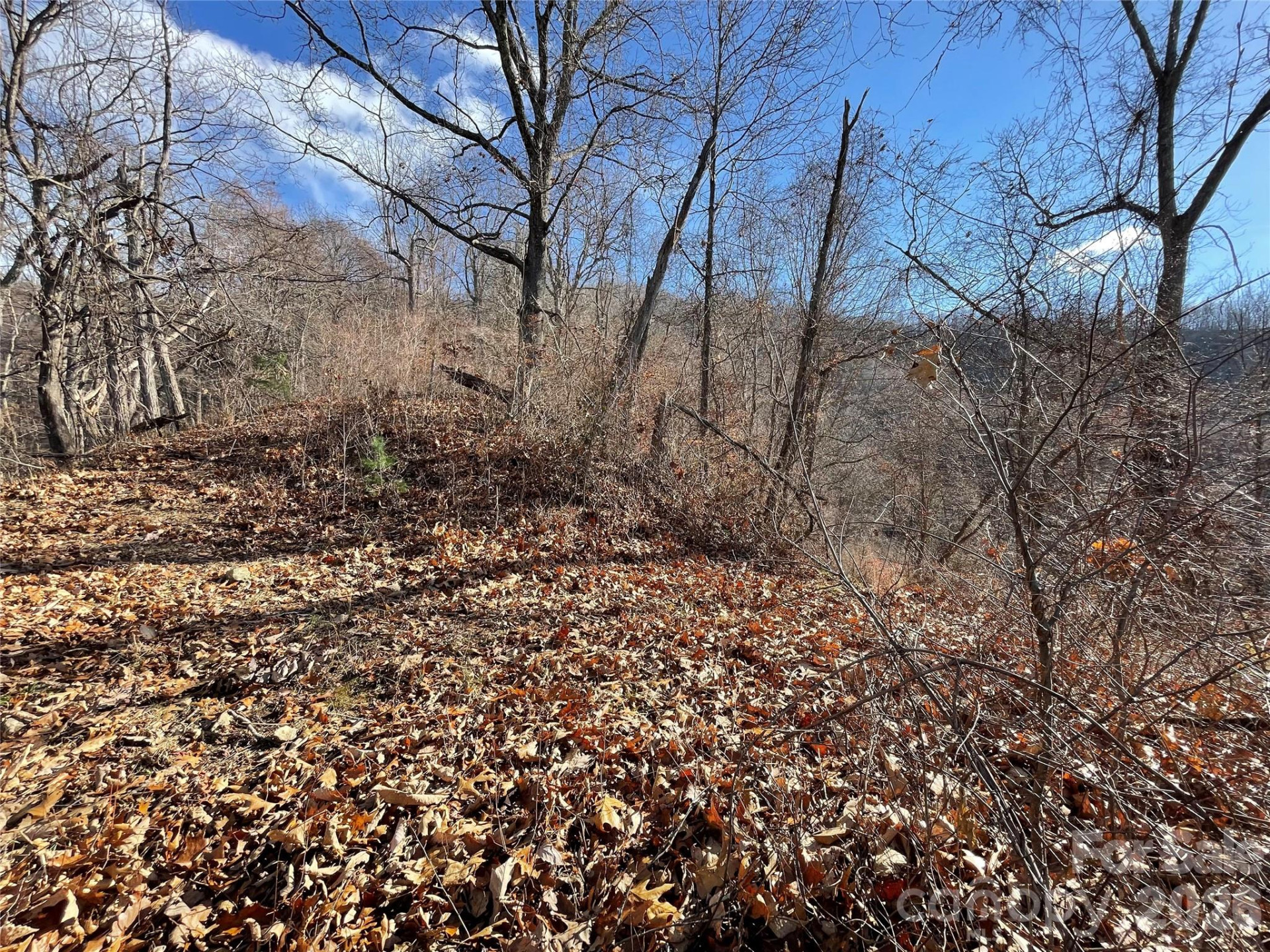 00 Wilson Cove Road - Photo 28