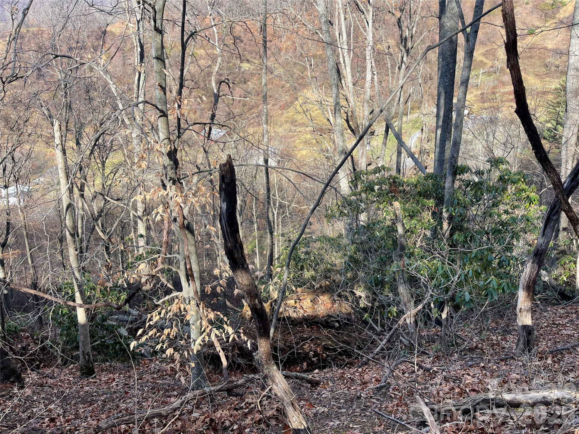 00 Wilson Cove Road - Photo 29