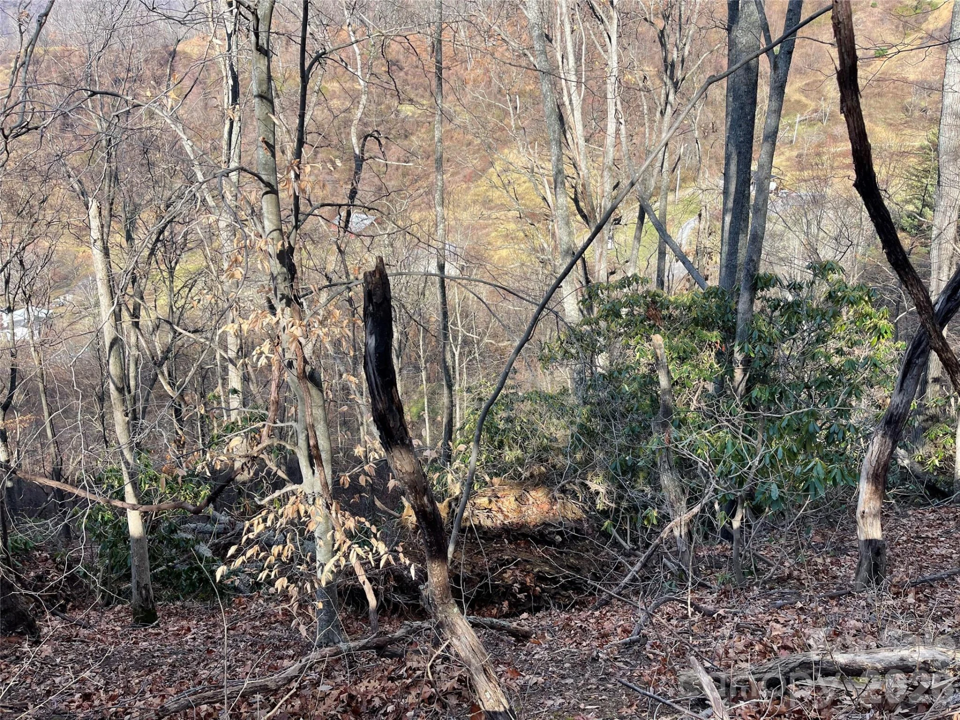 00 Wilson Cove Road - Photo 29