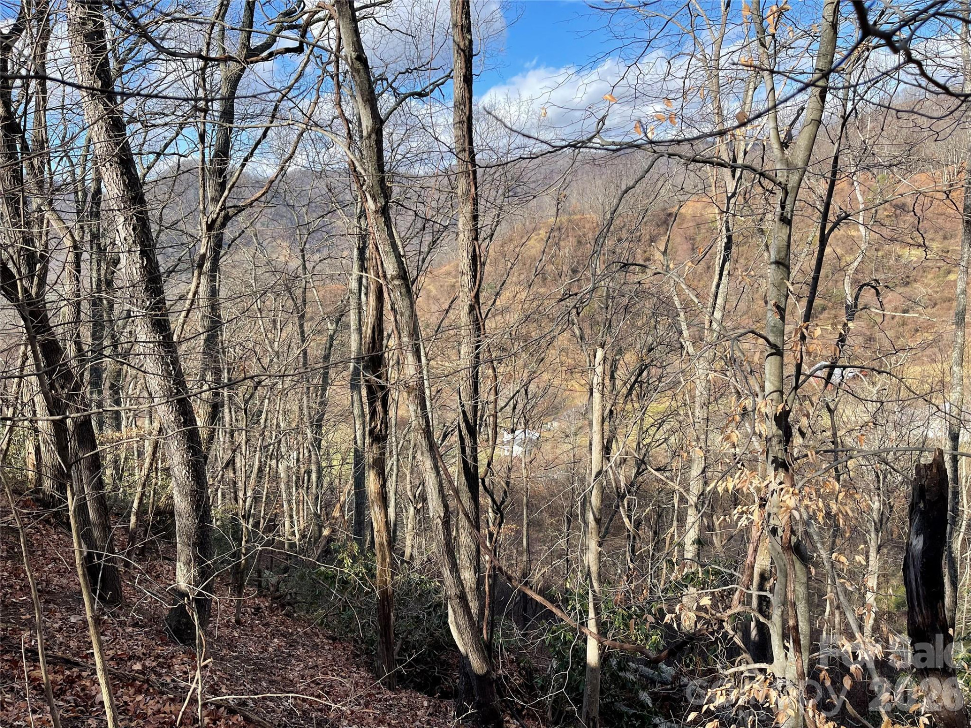 00 Wilson Cove Road - Photo 30