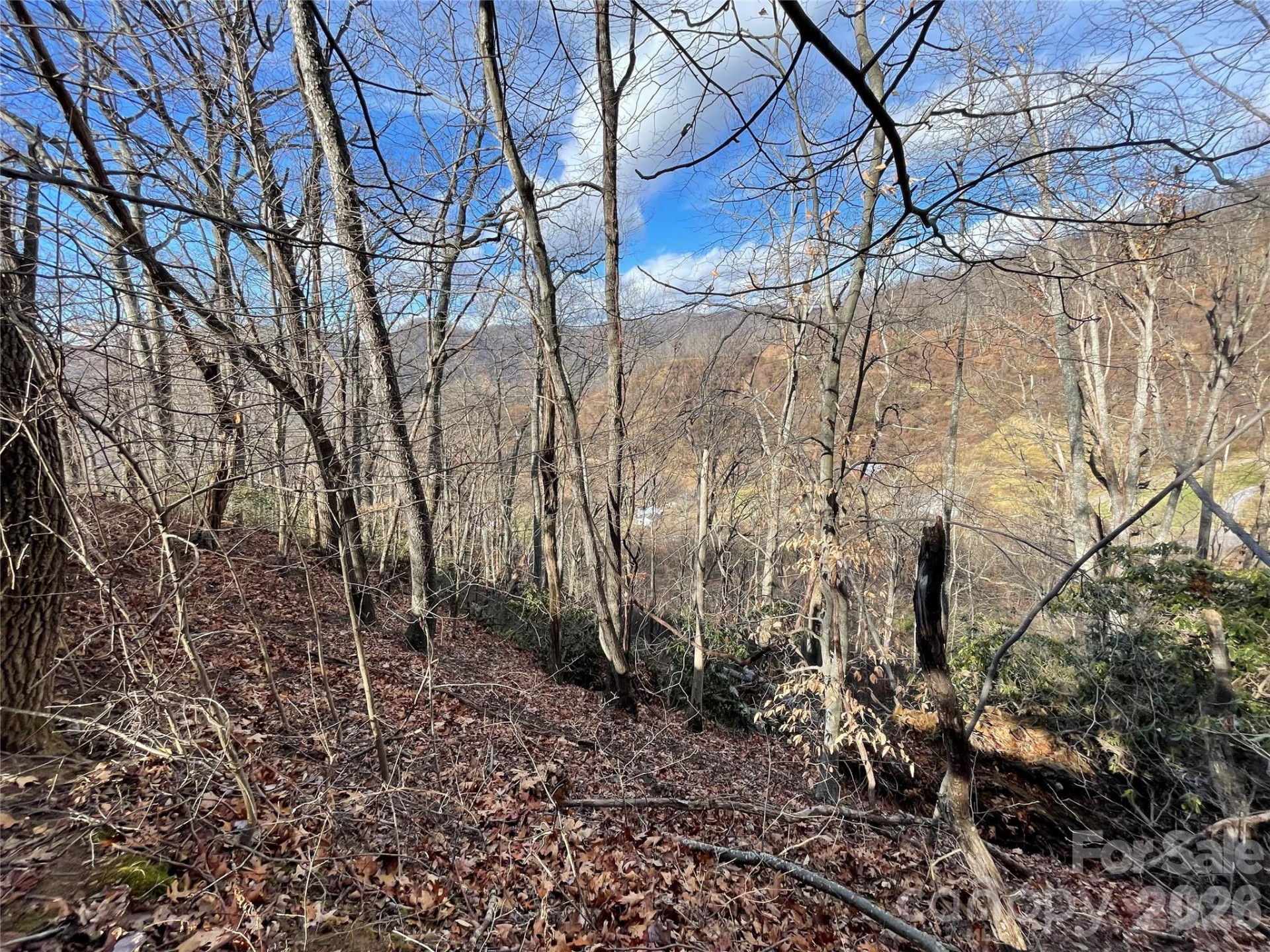 00 Wilson Cove Road - Photo 31