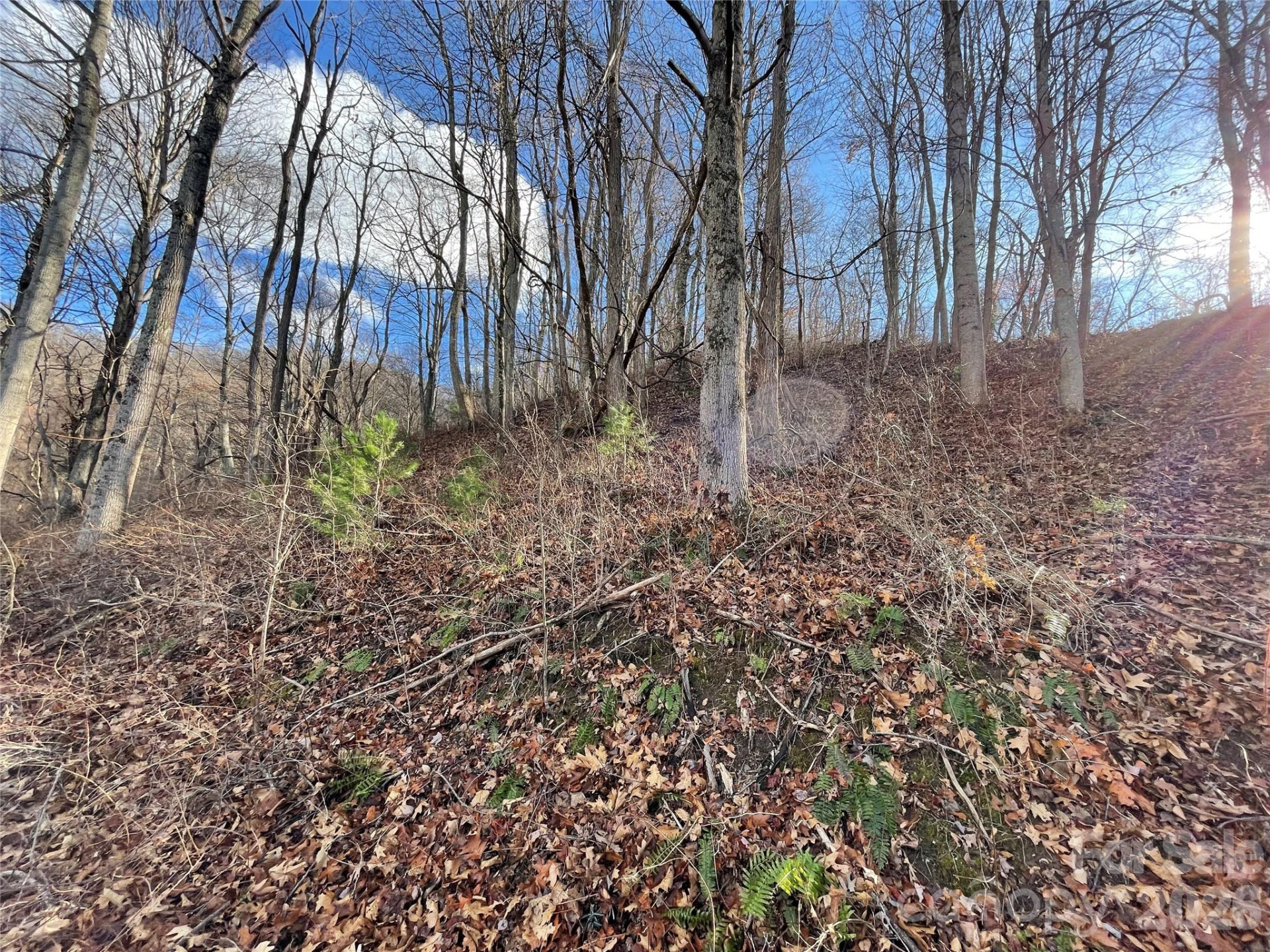 00 Wilson Cove Road - Photo 33