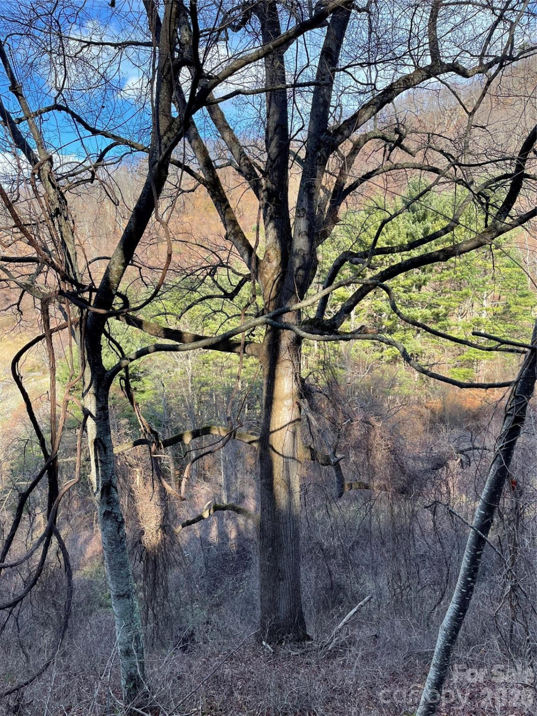 00 Wilson Cove Road - Photo 34