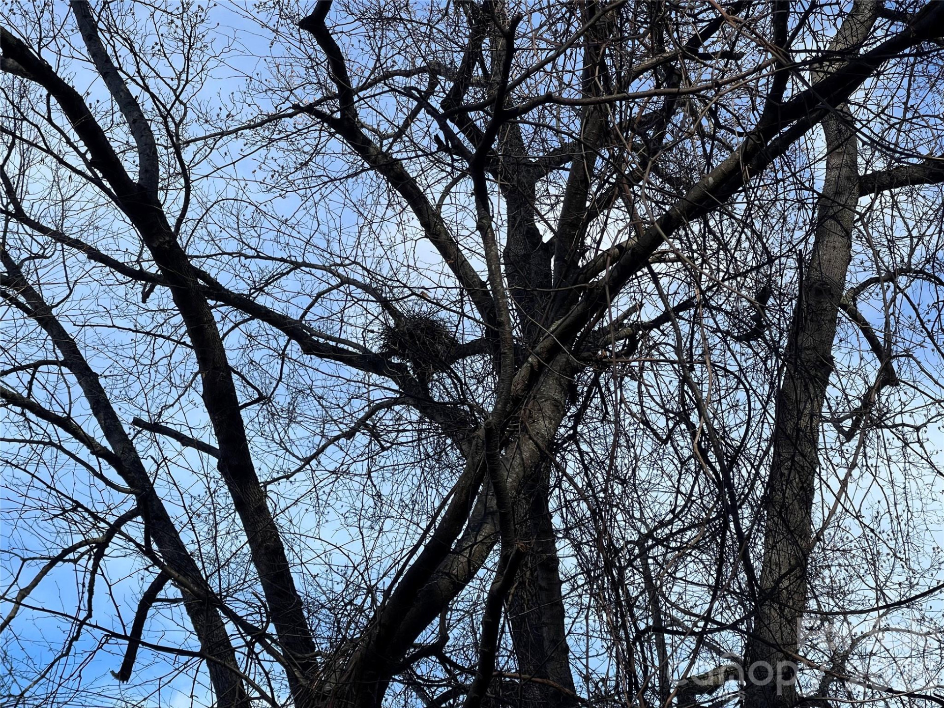 00 Wilson Cove Road - Photo 35