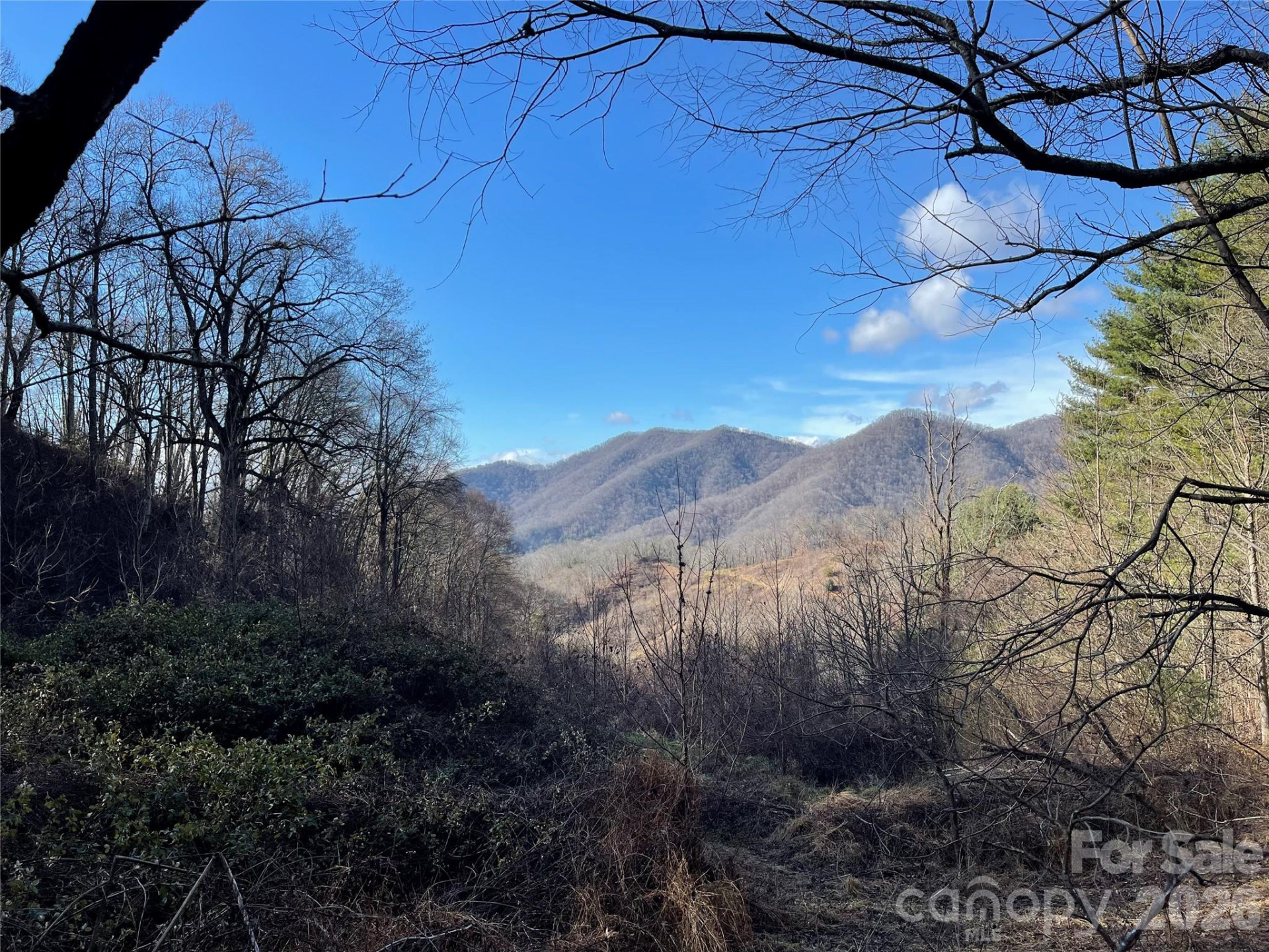 00 Wilson Cove Road - Photo 36