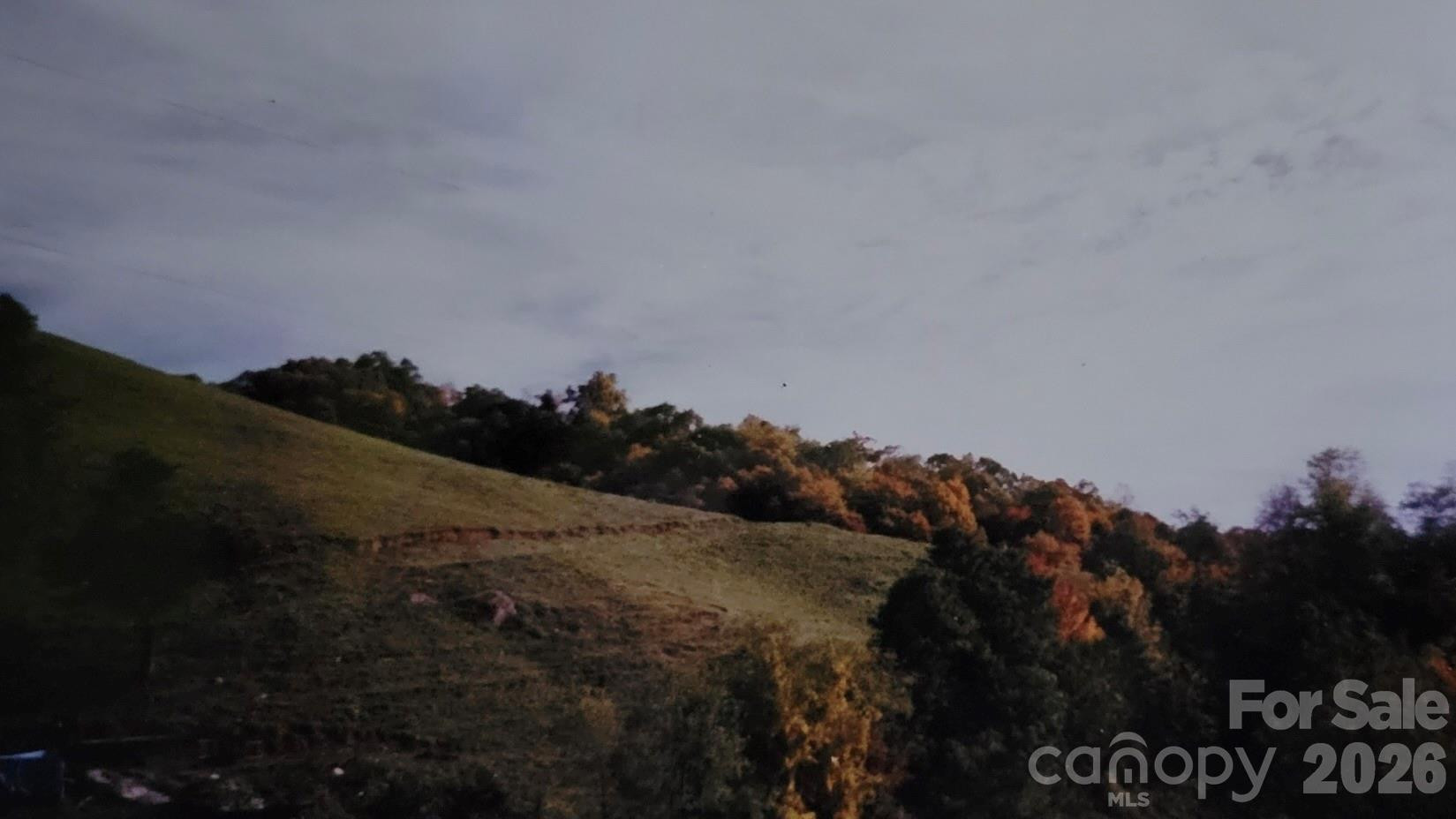 00 Wilson Cove Road - Photo 37