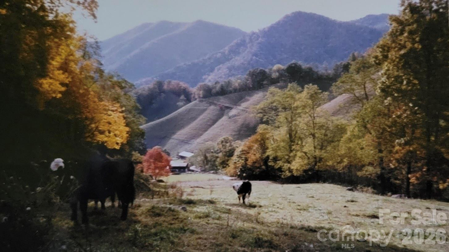 00 Wilson Cove Road - Photo 39