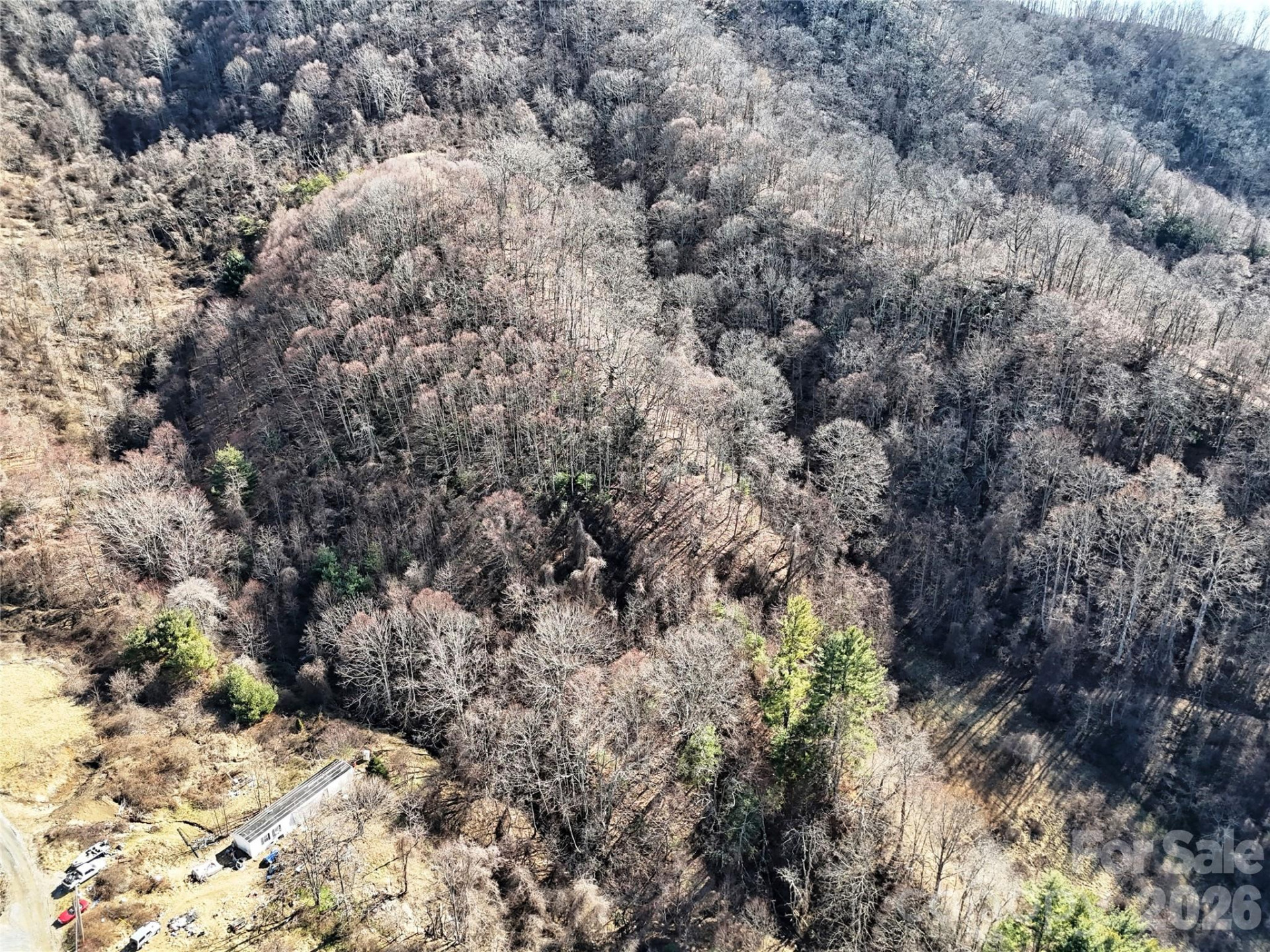 00 Wilson Cove Road - Photo 5