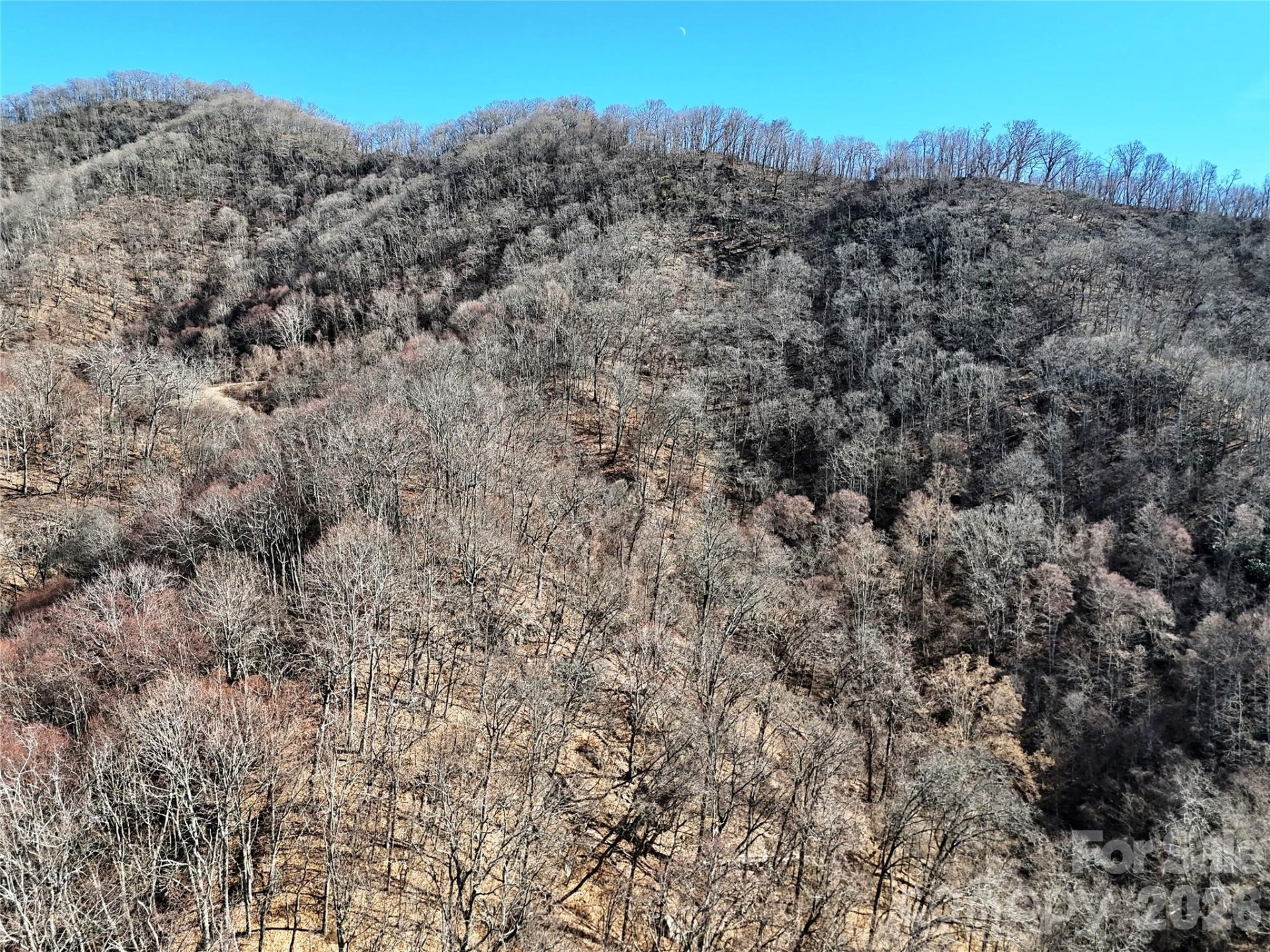 00 Wilson Cove Road - Photo 7