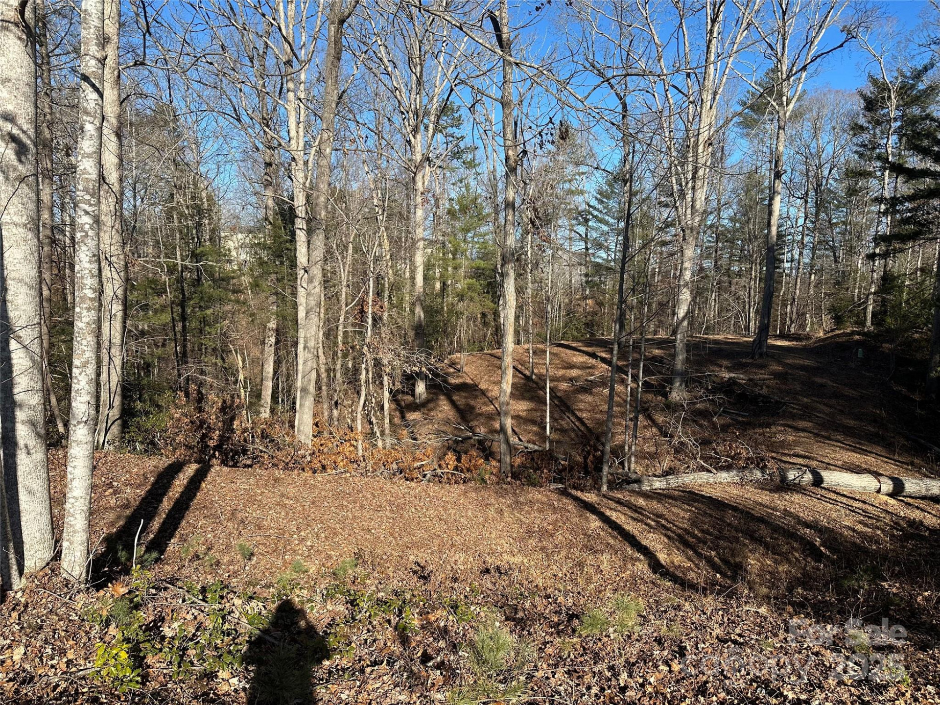 1504 Brentwood Place - Photo 3