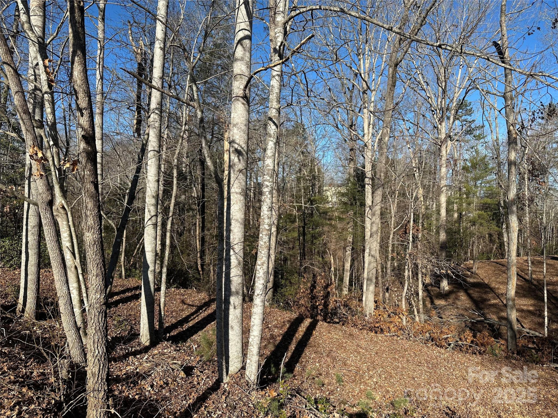 1504 Brentwood Place - Photo 4