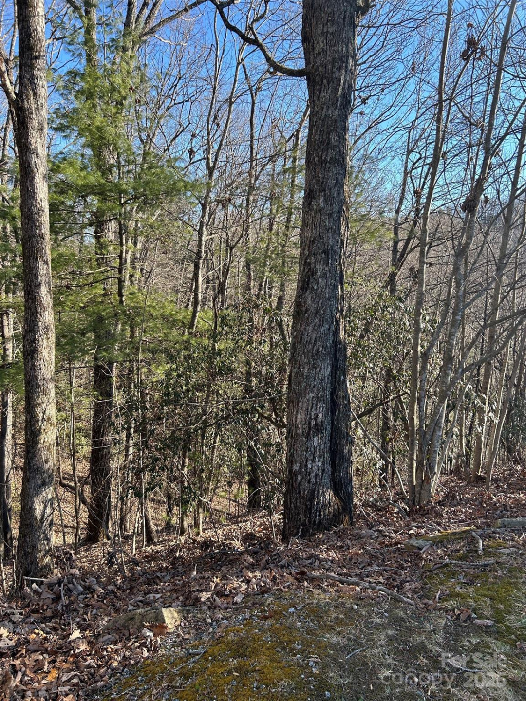 210 Thistlewynd Trail