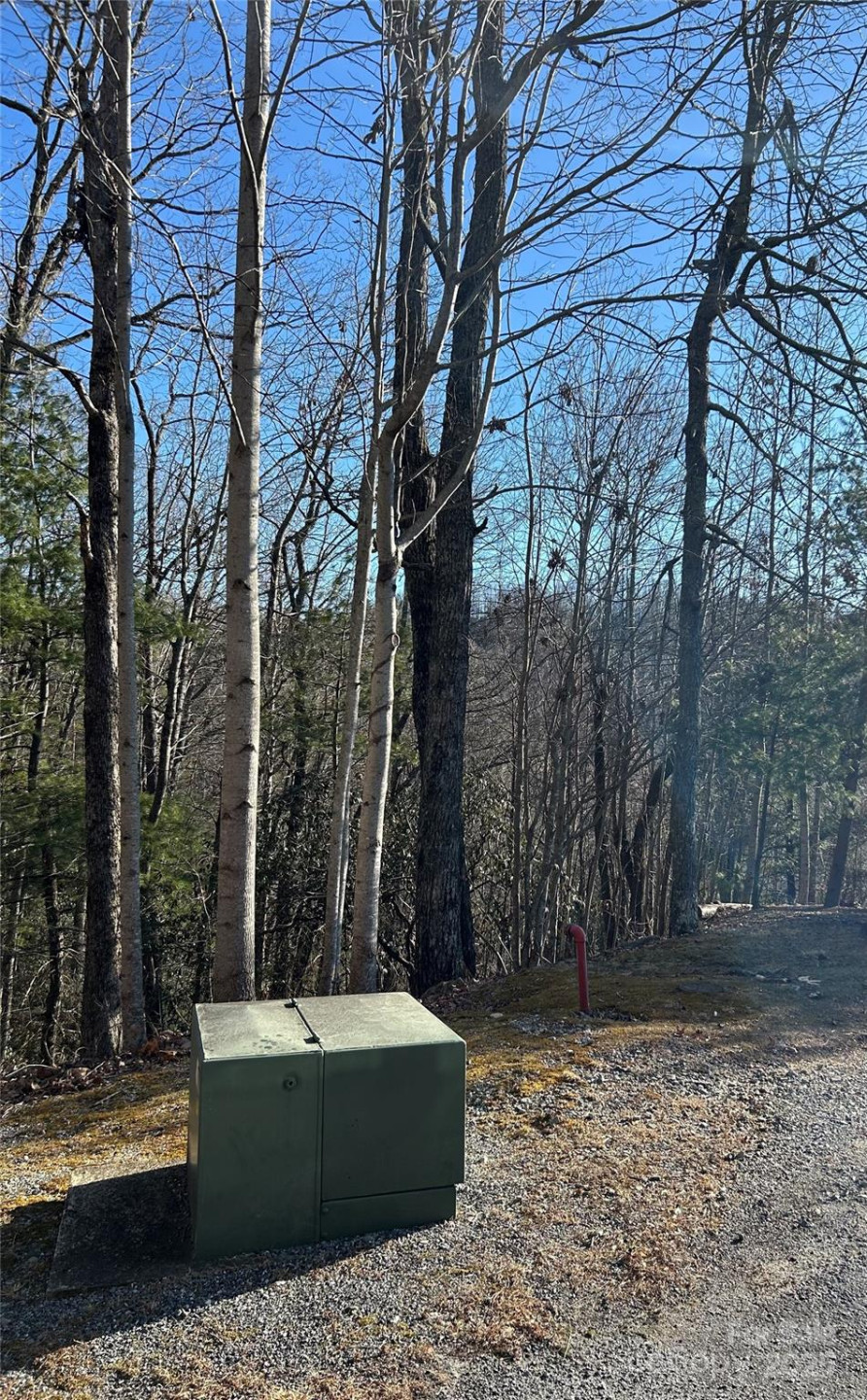 210 Thistlewynd Trail - Photo 4