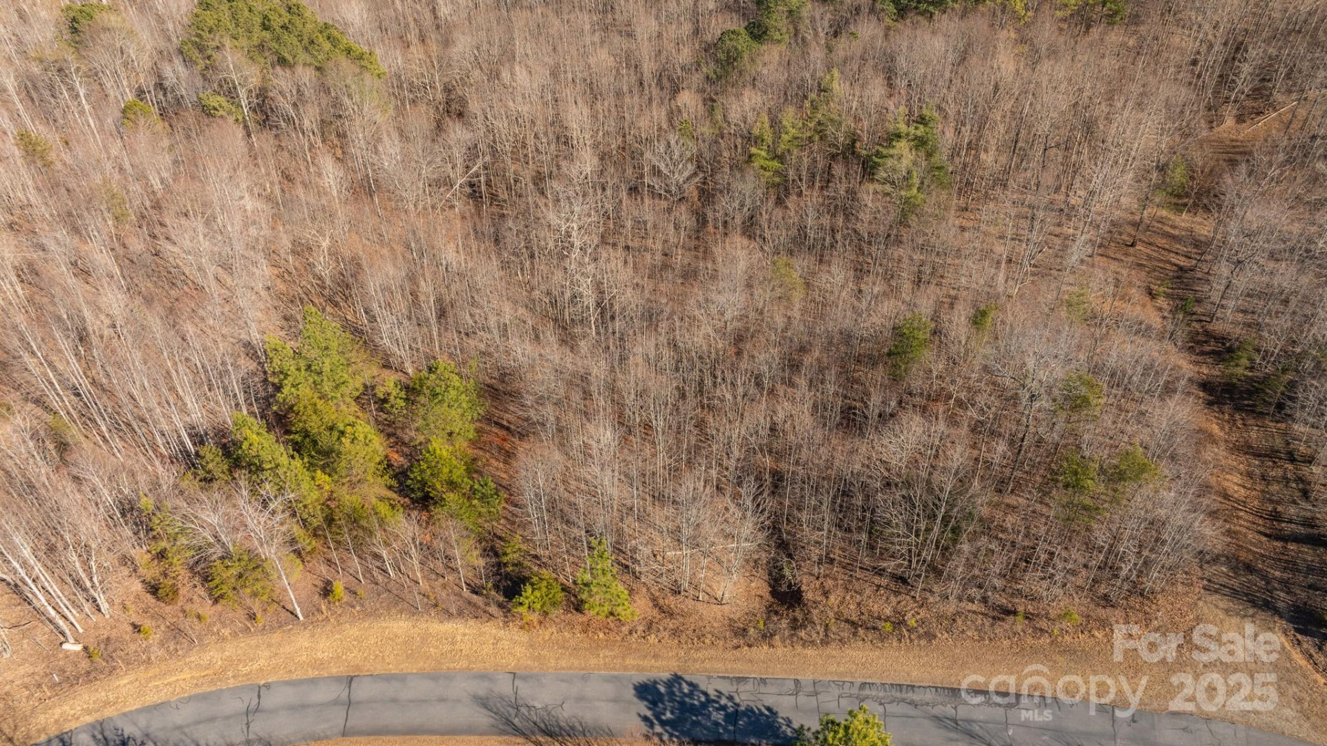 TBD Coal Pit Mountain Road - Photo 11