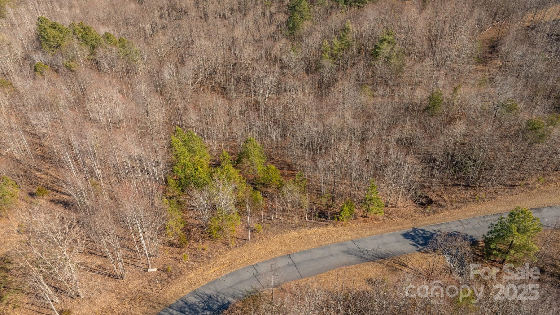 TBD Coal Pit Mountain Road - Photo 12