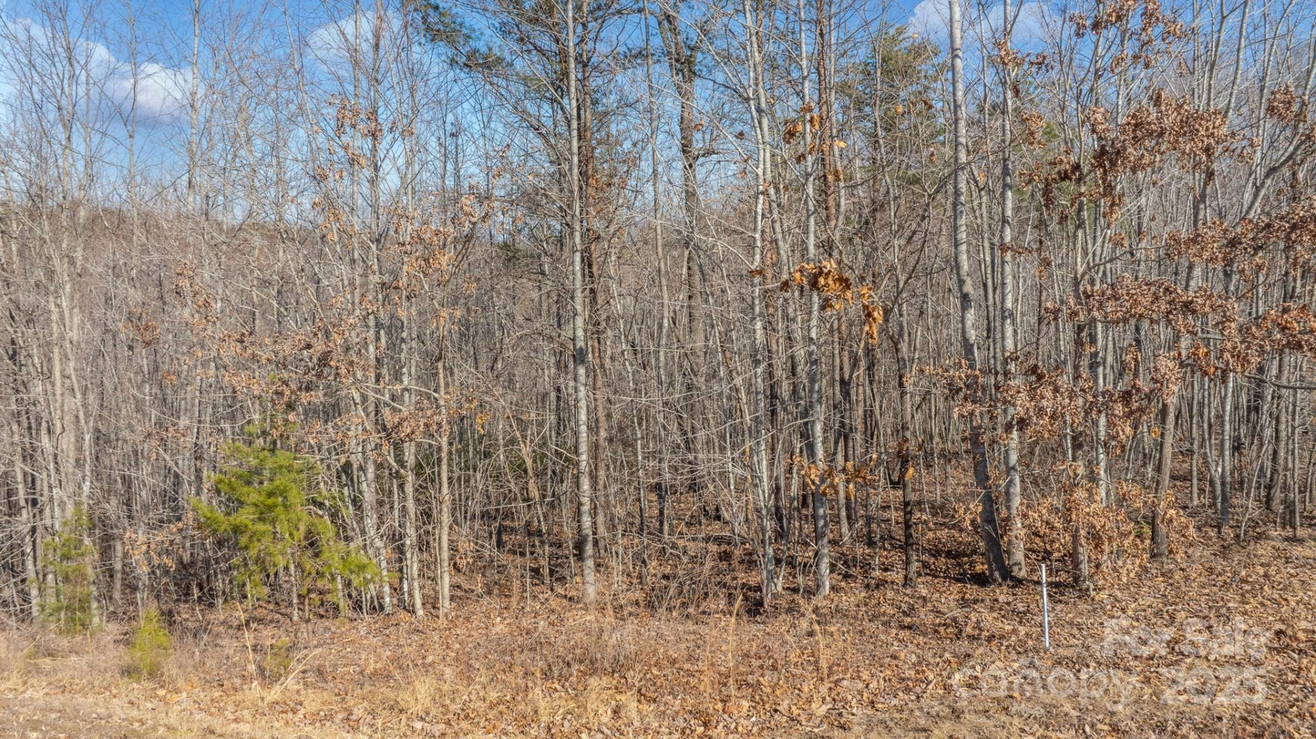TBD Coal Pit Mountain Road - Photo 13