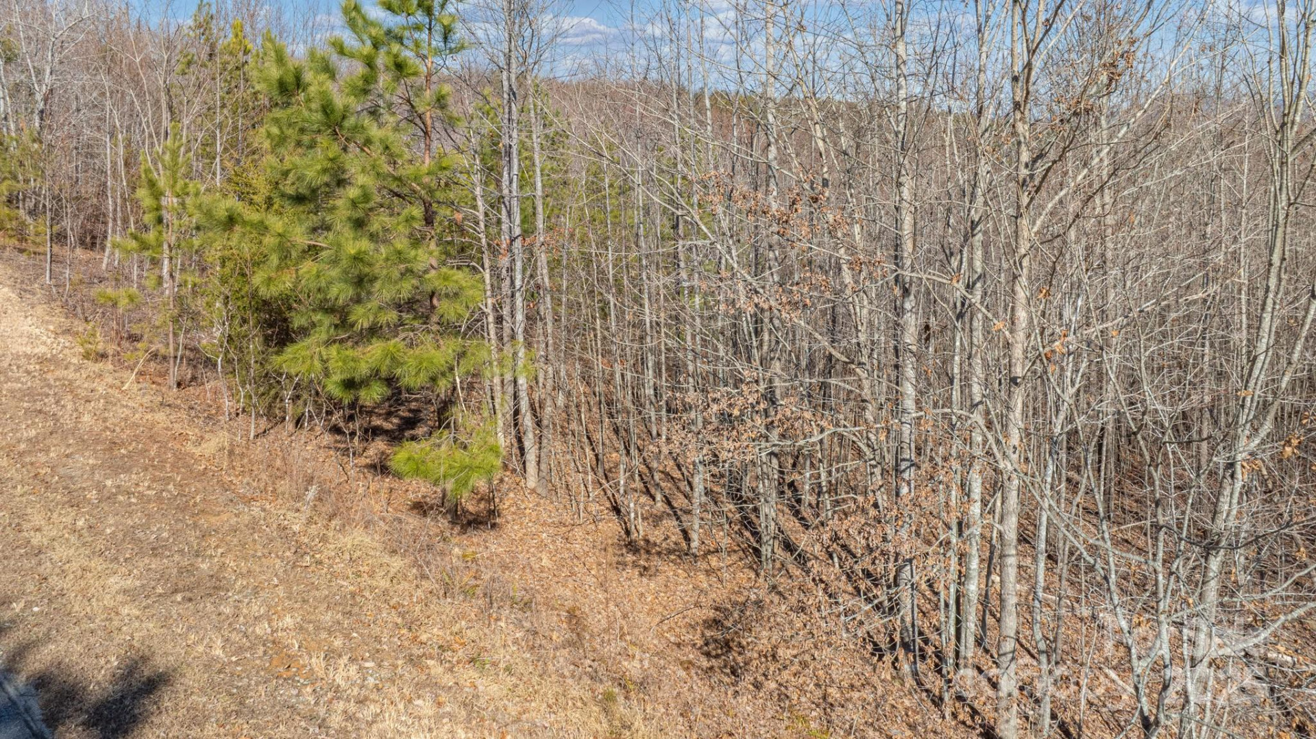 TBD Coal Pit Mountain Road - Photo 15
