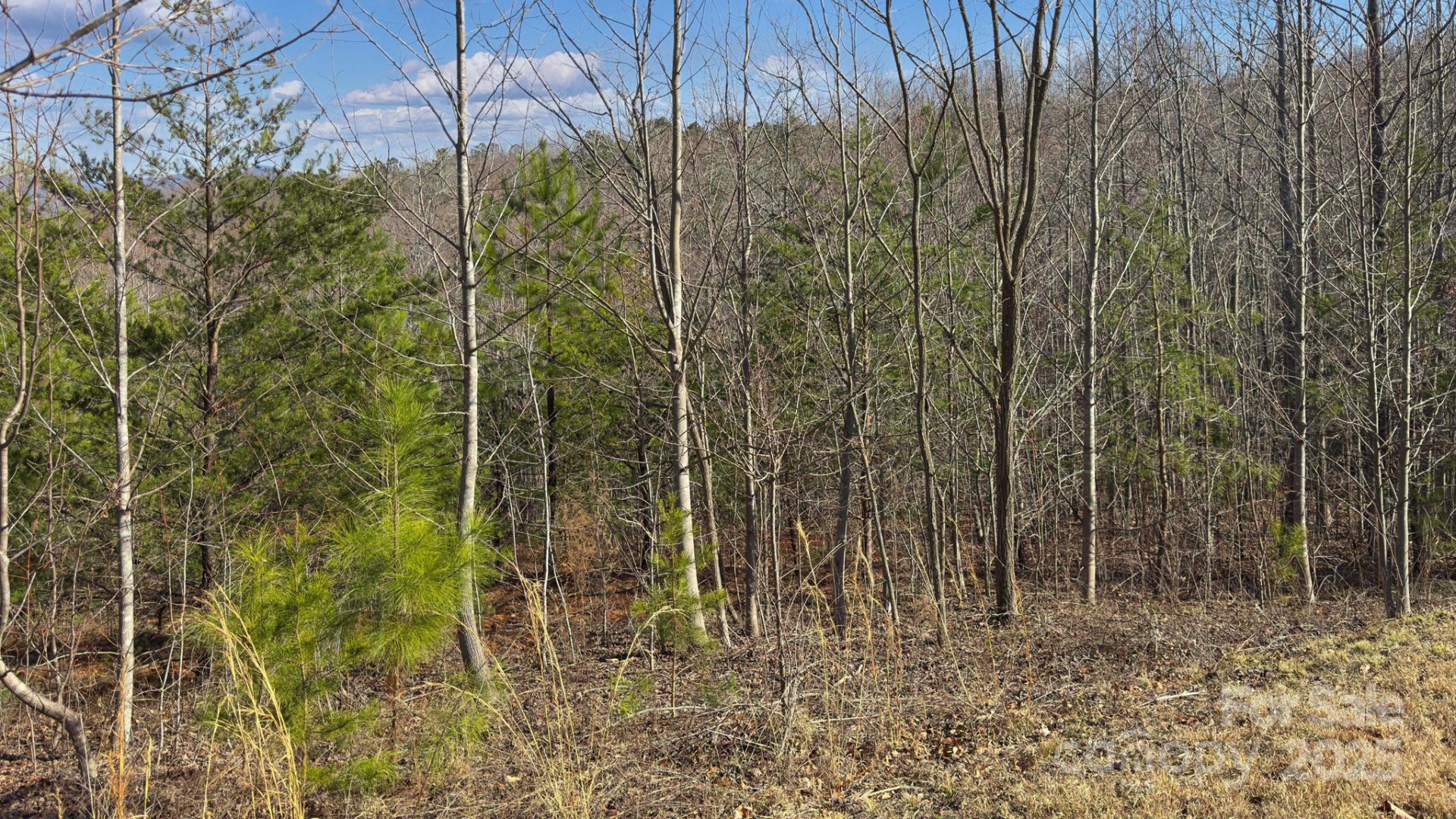 TBD Coal Pit Mountain Road - Photo 17