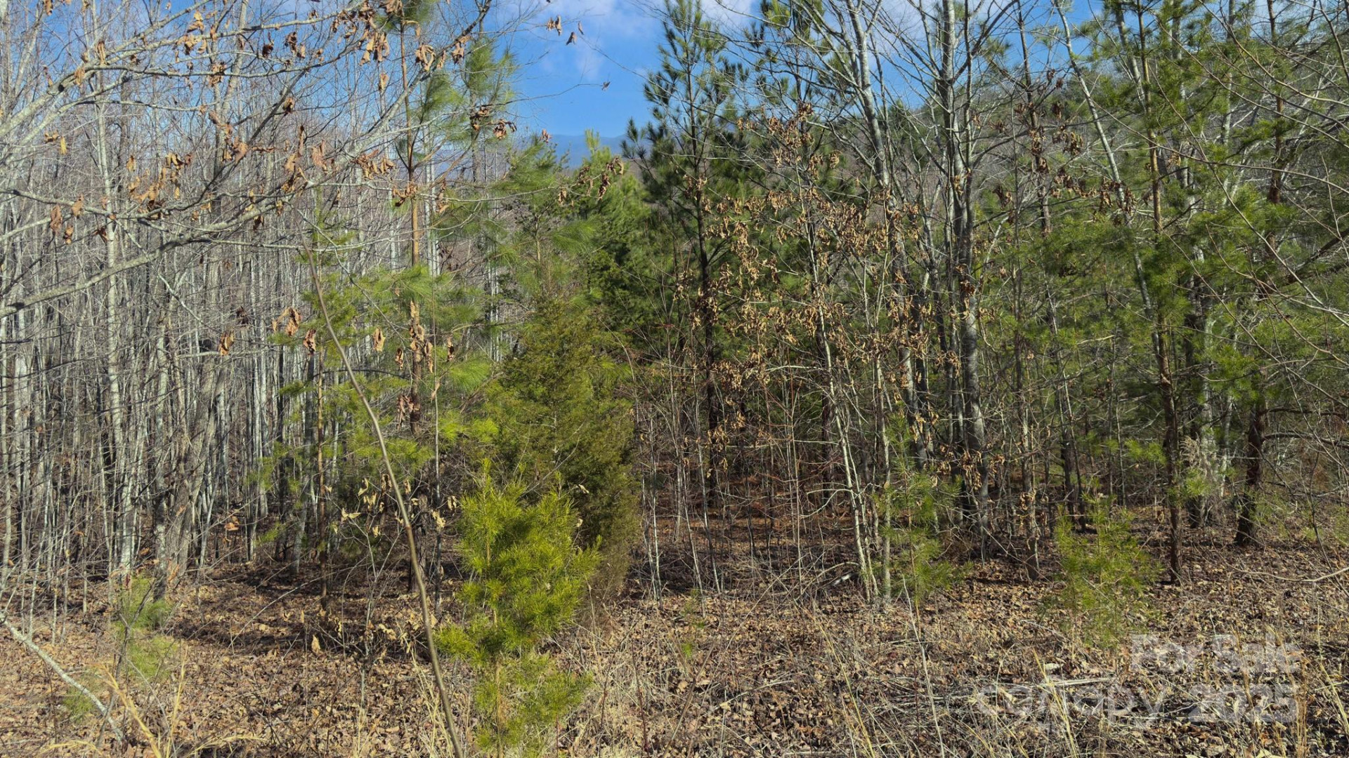 TBD Coal Pit Mountain Road - Photo 18