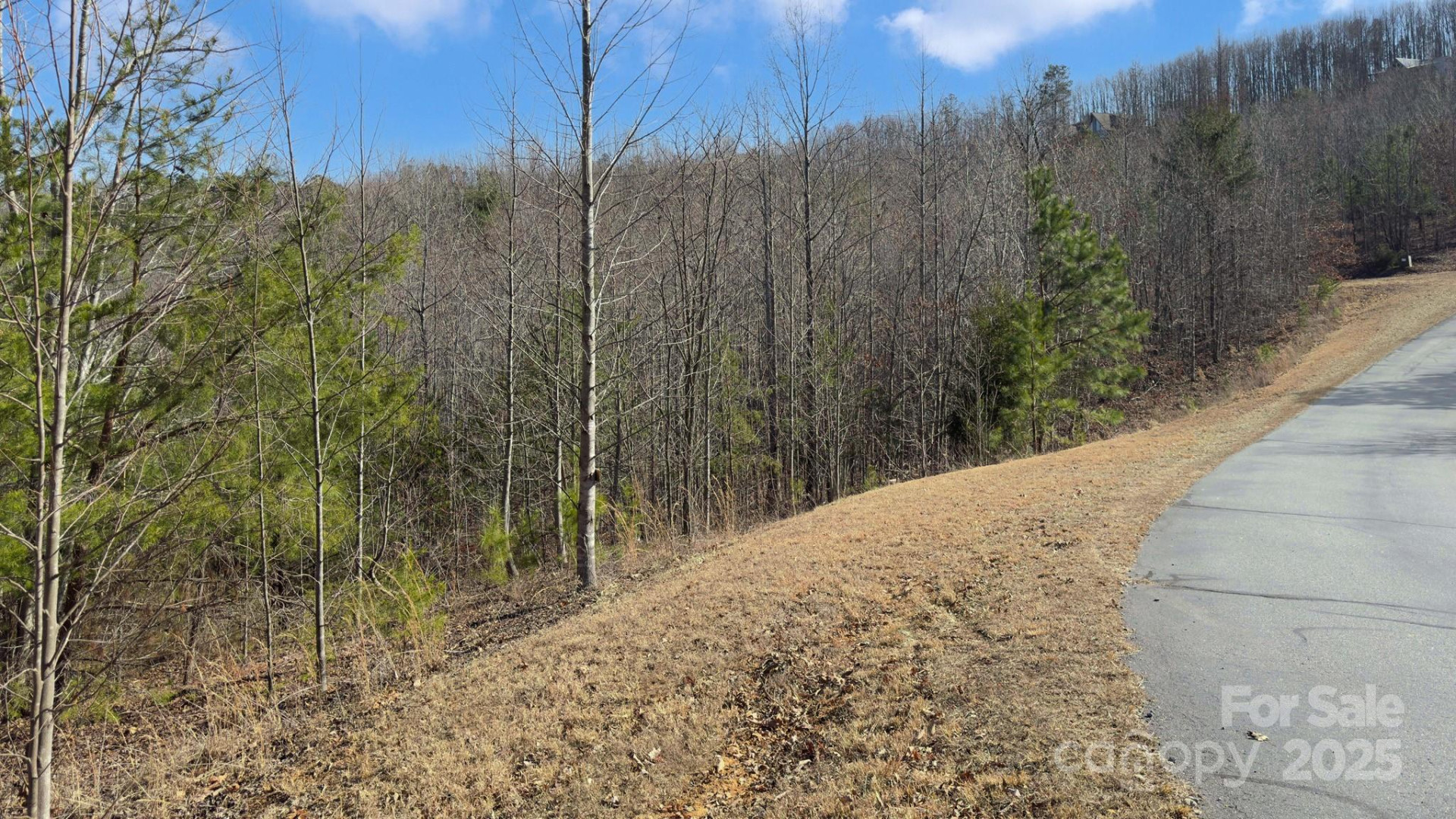TBD Coal Pit Mountain Road - Photo 19
