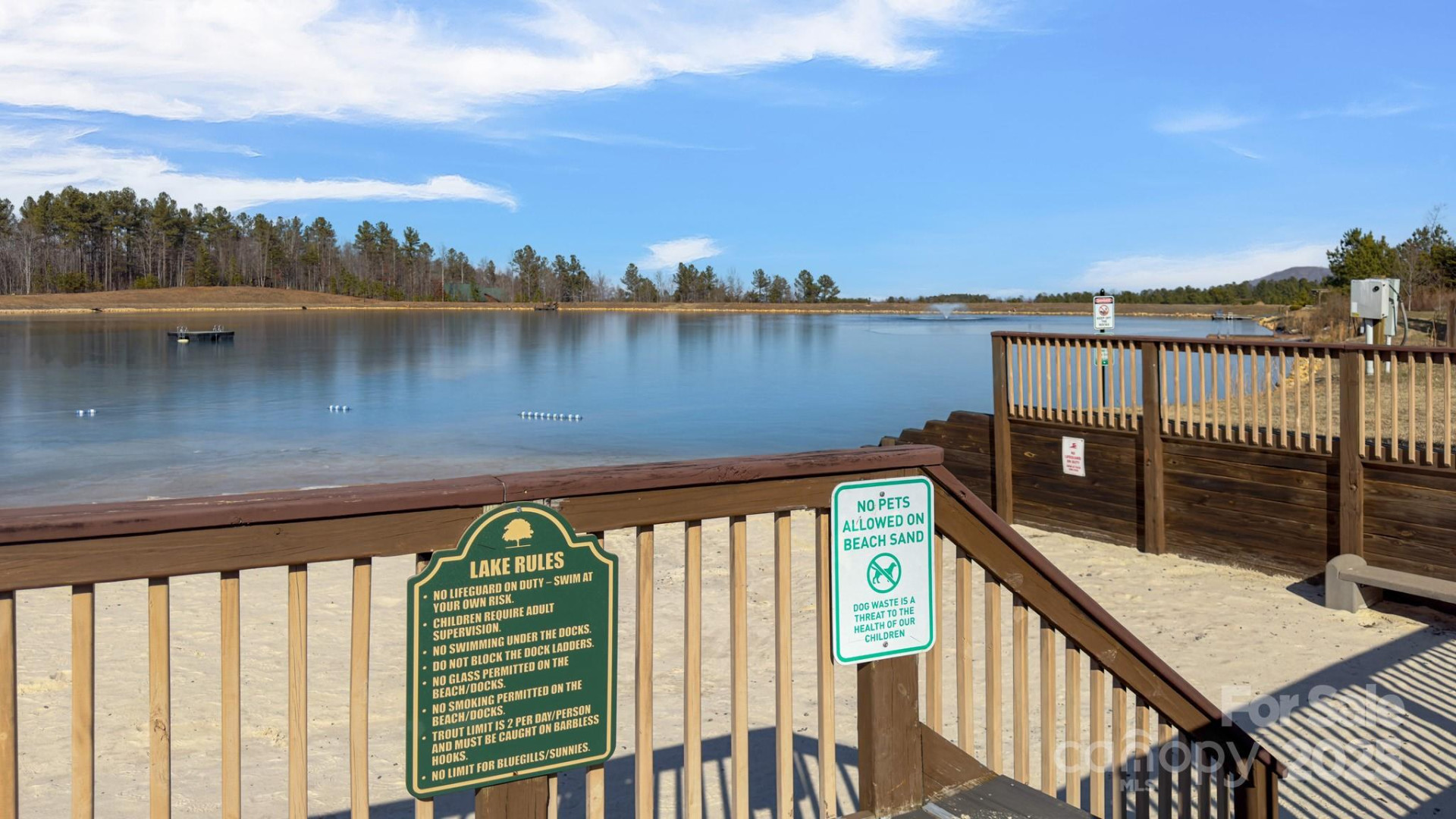 TBD Coal Pit Mountain Road - Photo 22