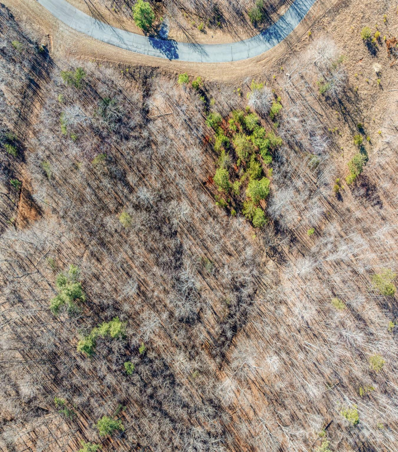 TBD Coal Pit Mountain Road - Photo 4