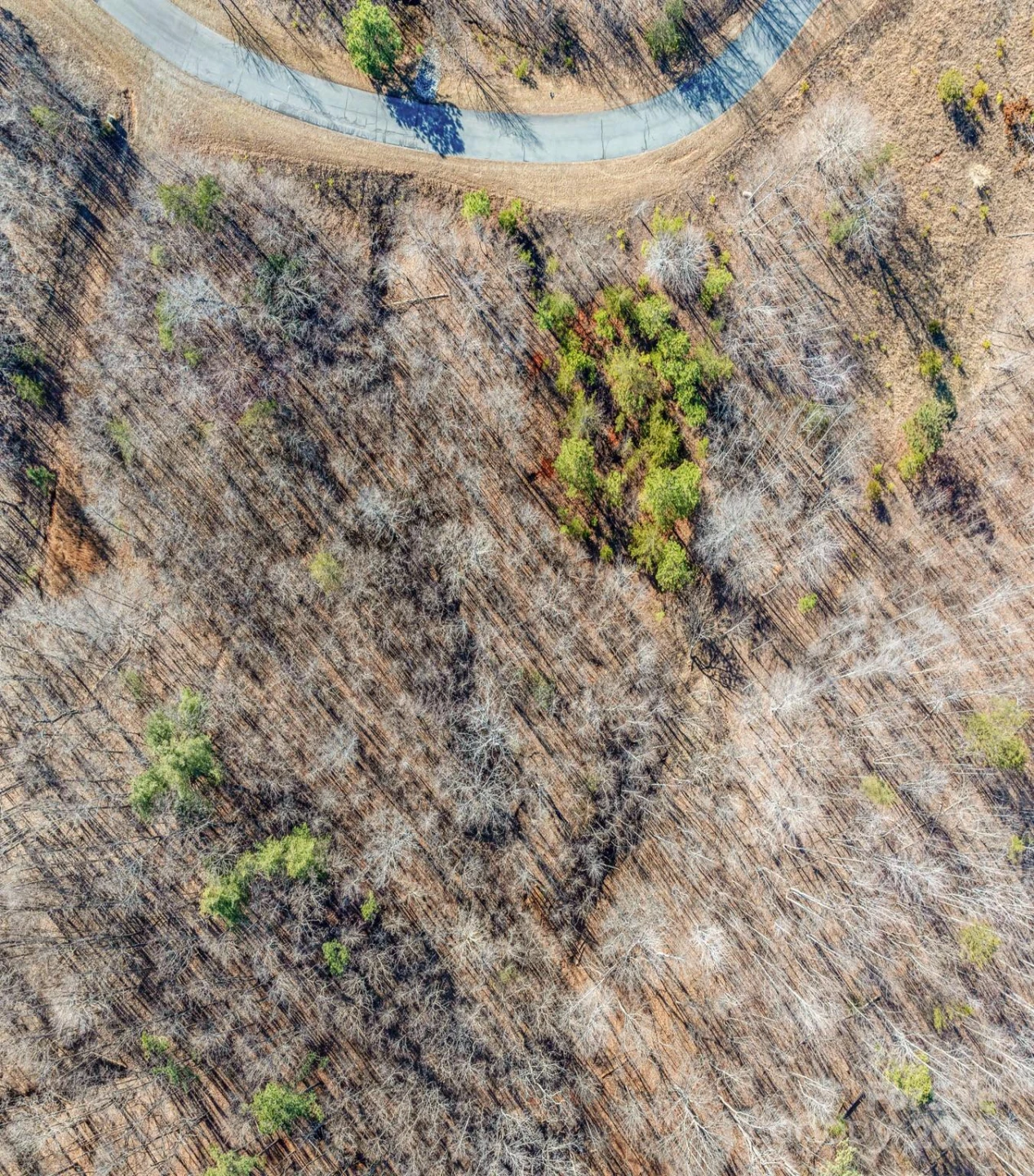 TBD Coal Pit Mountain Road - Photo 4