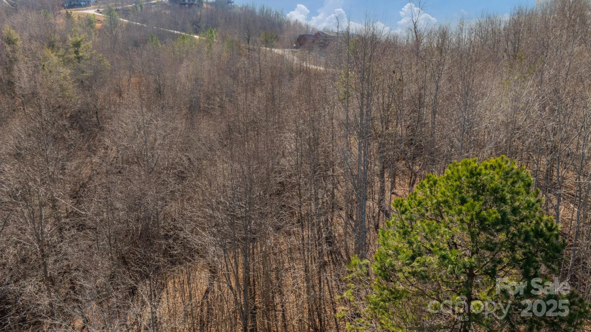 TBD Coal Pit Mountain Road - Photo 5