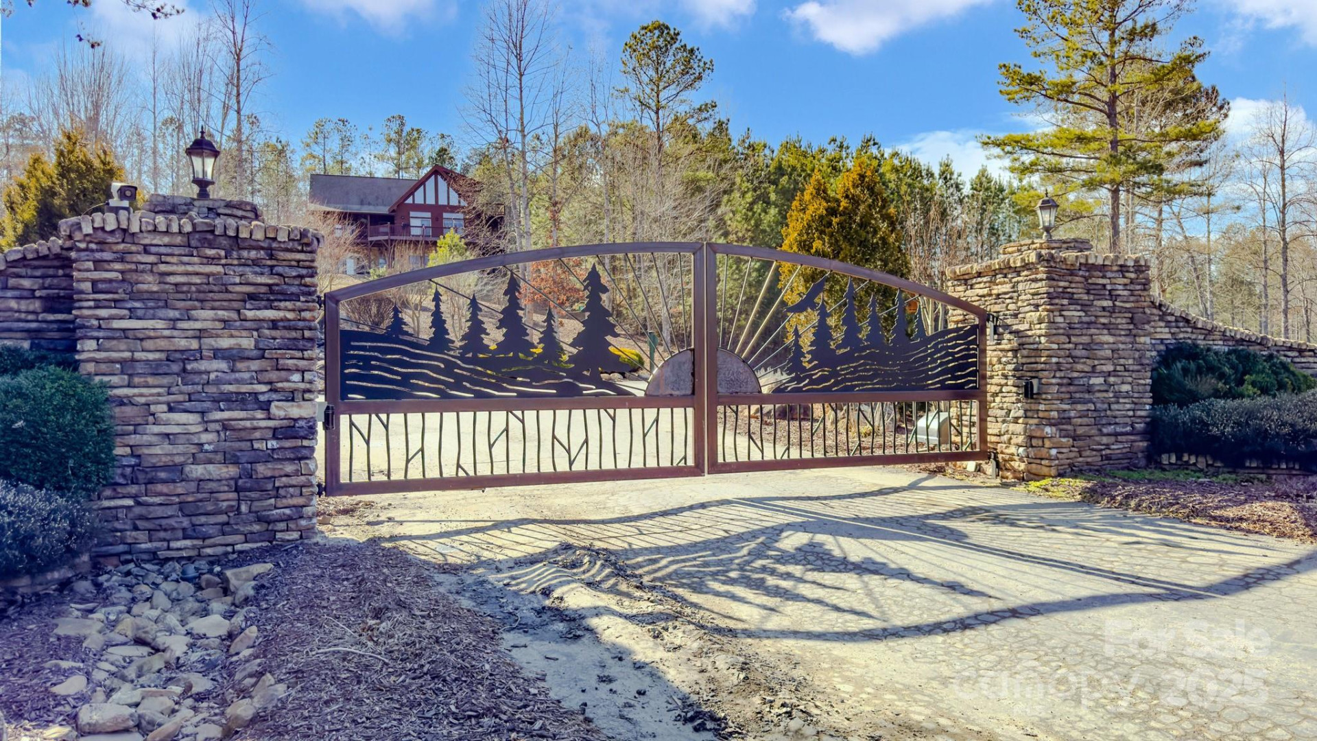 TBD Coal Pit Mountain Road - Photo 43