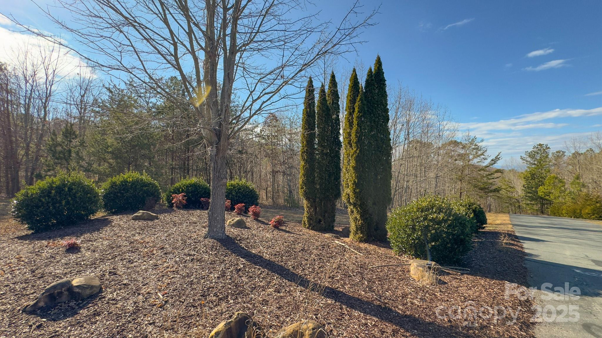 TBD Coal Pit Mountain Road - Photo 45