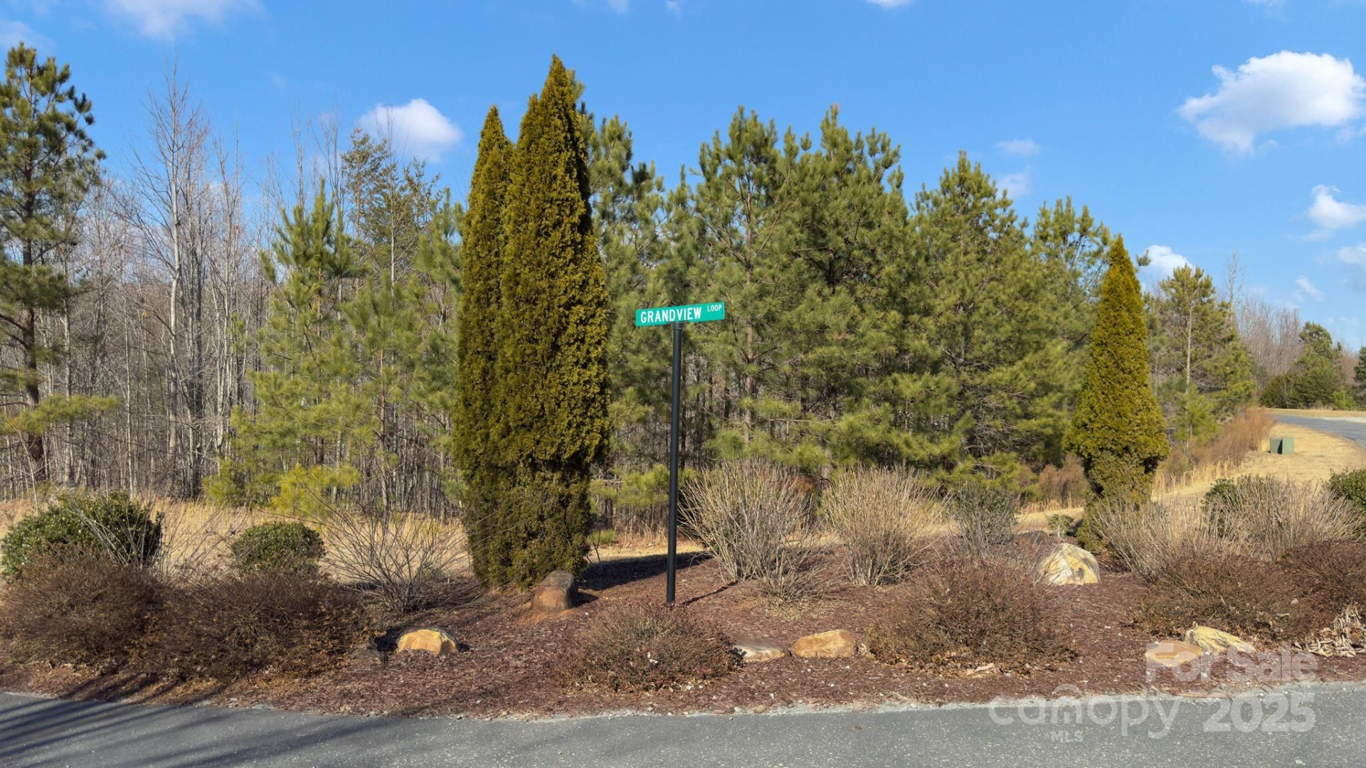 TBD Coal Pit Mountain Road - Photo 46