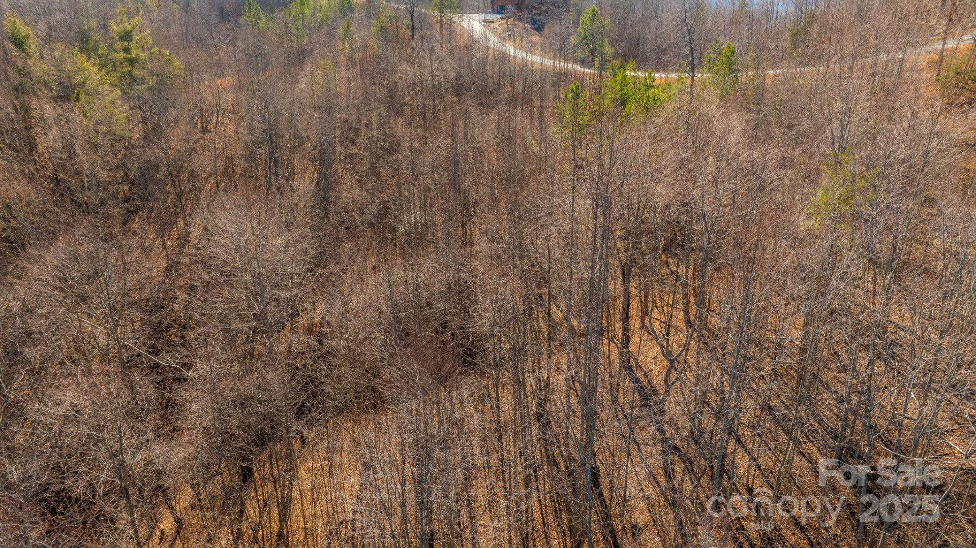 TBD Coal Pit Mountain Road - Photo 6