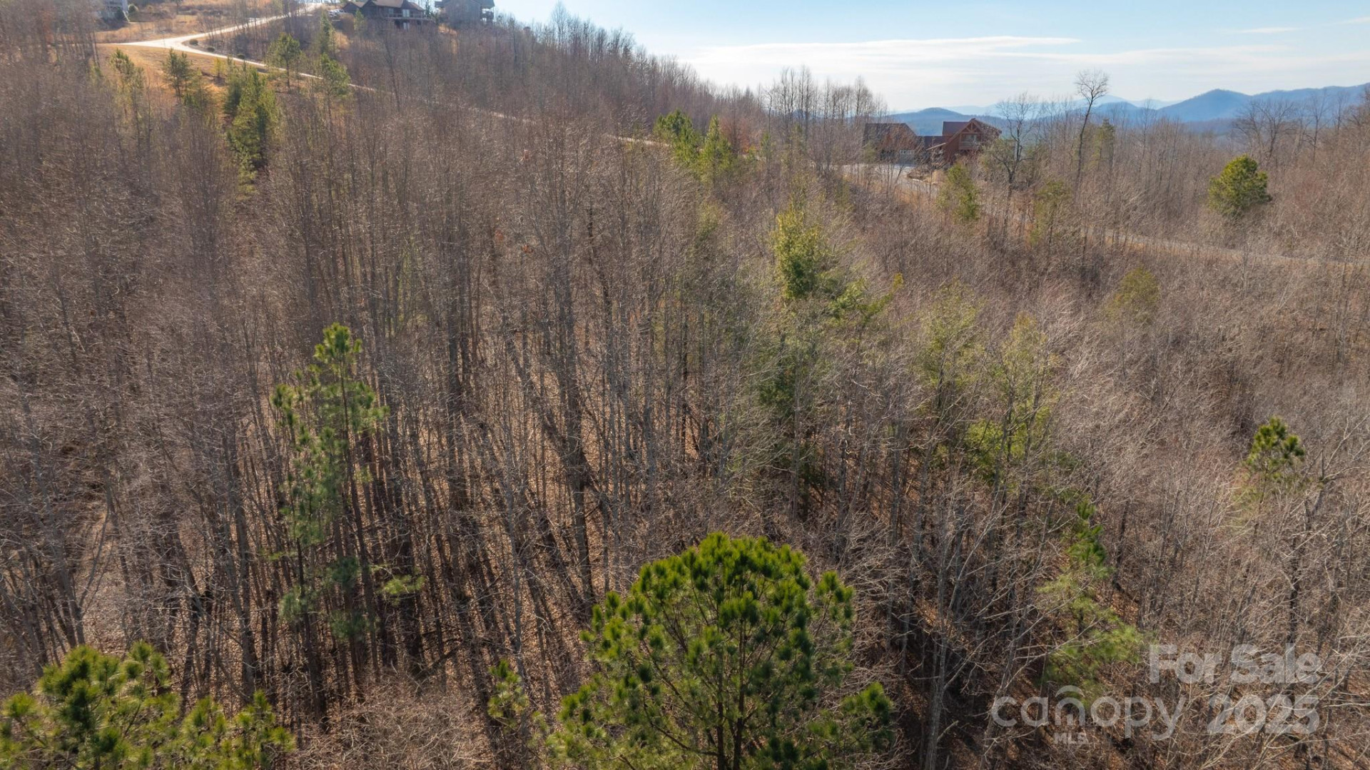 TBD Coal Pit Mountain Road - Photo 7