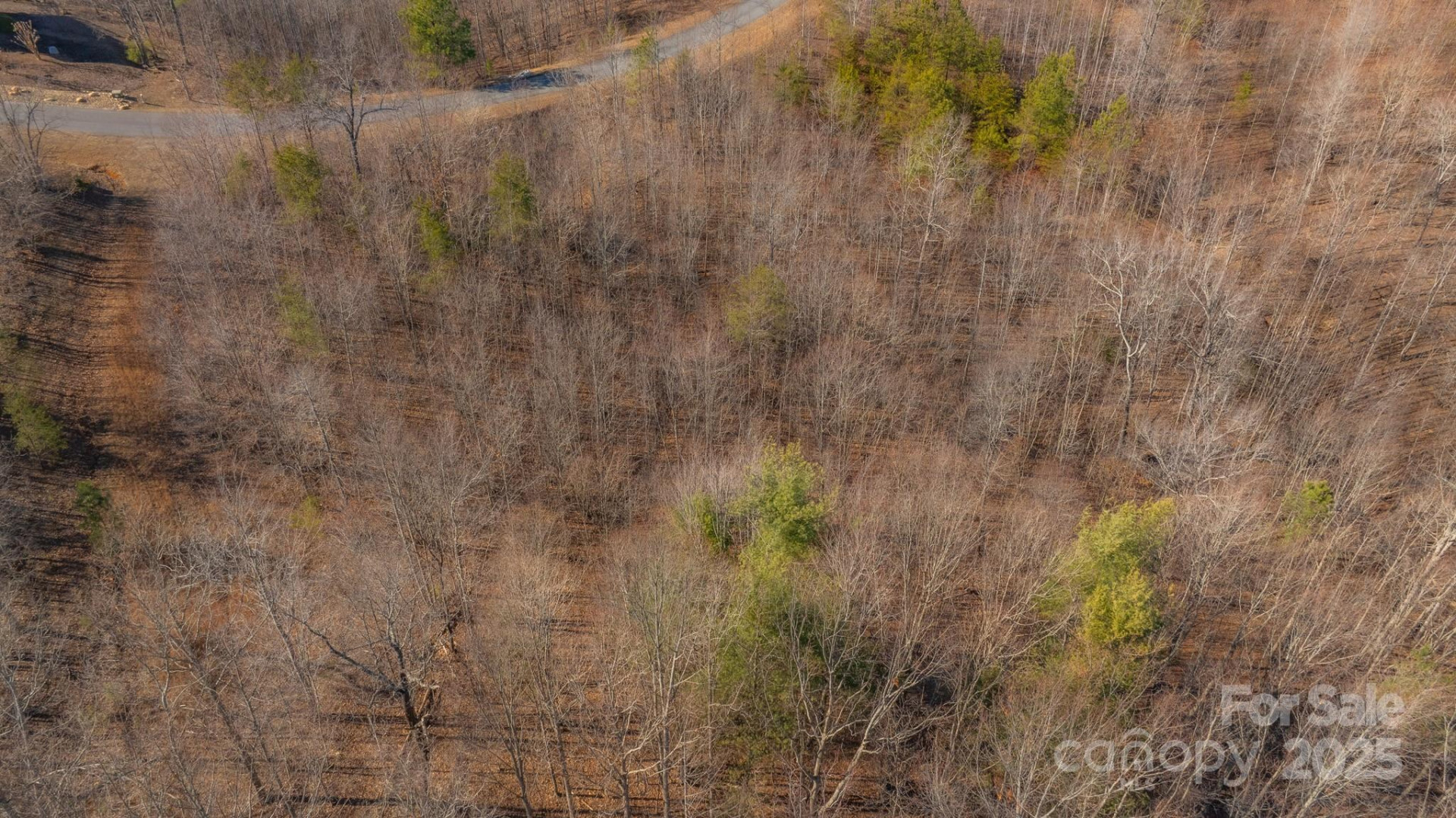 TBD Coal Pit Mountain Road - Photo 8