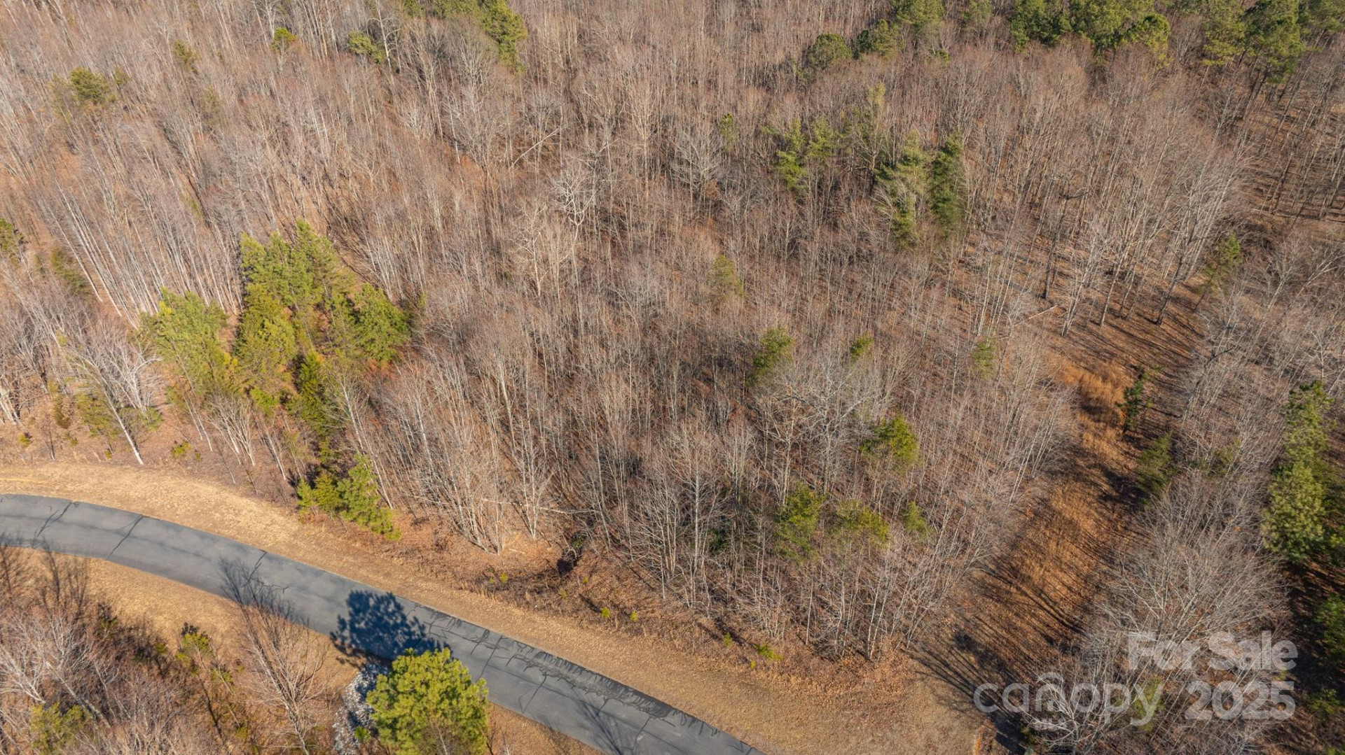 TBD Coal Pit Mountain Road - Photo 9