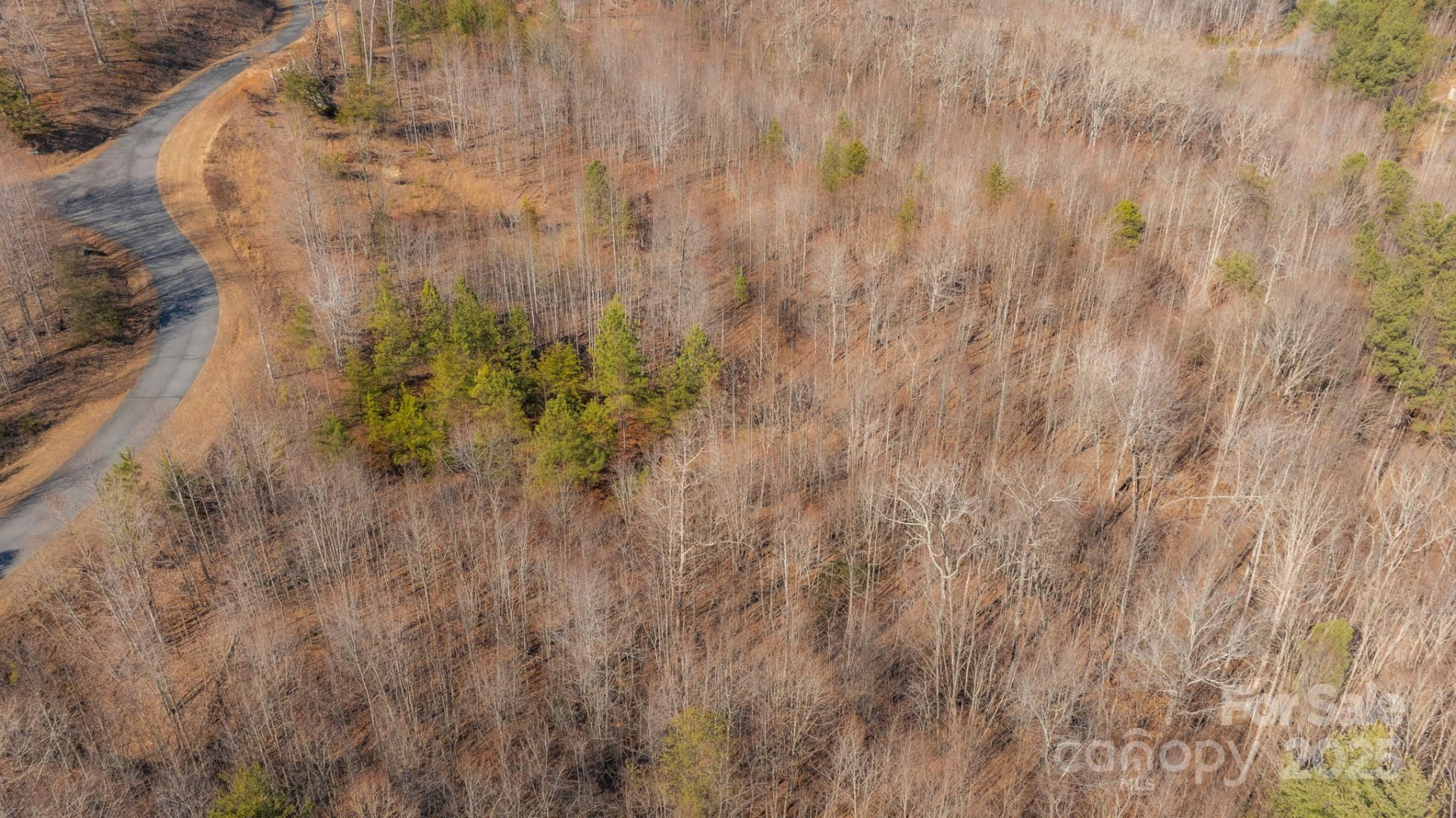 TBD Coal Pit Mountain Road - Photo 10