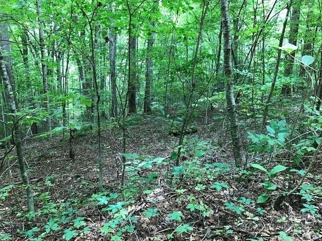 00 Red Oak Lane #Lot #24 - Photo 2