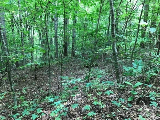 00 Red Oak Lane #Lot #24 - Photo 2