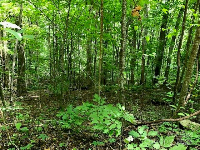 00 Red Oak Lane #Lot #24 - Photo 3