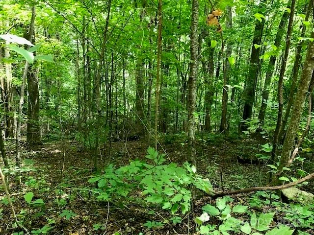 00 Red Oak Lane #Lot #24 - Photo 3