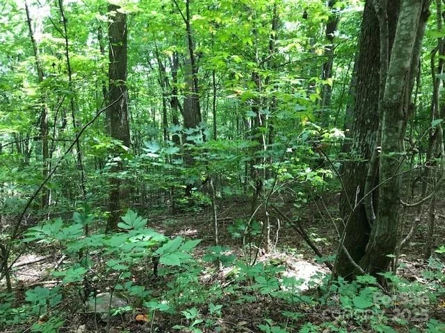 00 Red Oak Lane #Lot #24 - Photo 4