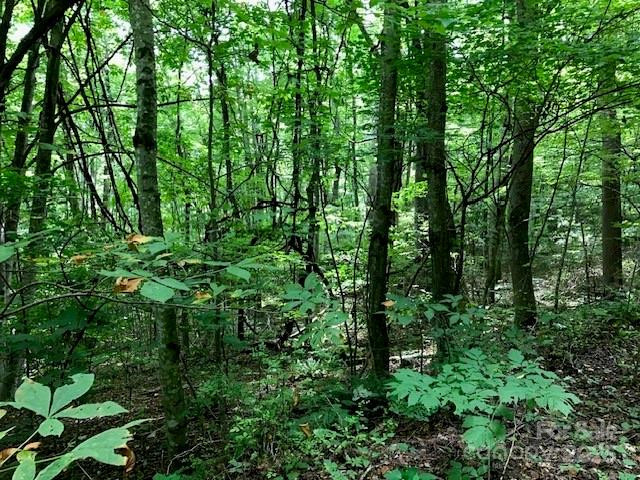 00 Red Oak Lane #Lot #24 - Photo 5