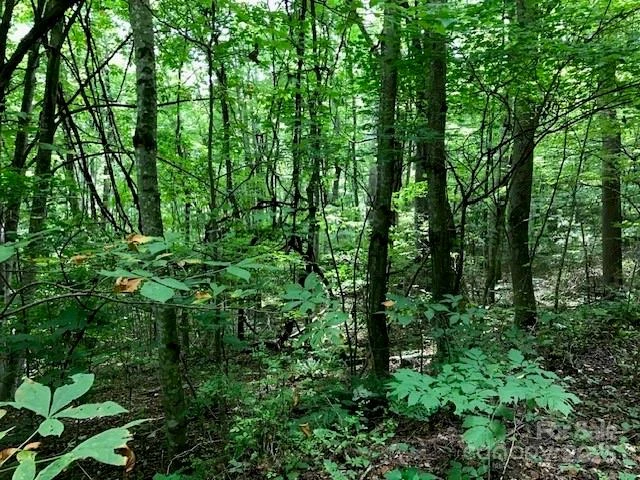 00 Red Oak Lane #Lot #24 - Photo 5