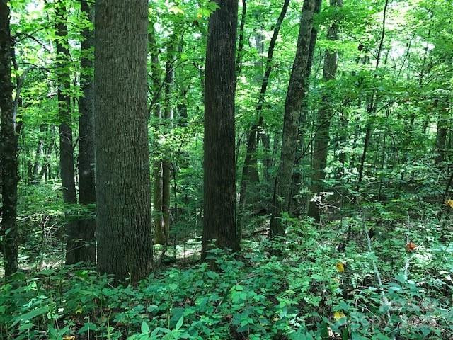 00 Red Oak Lane #Lot #24 - Photo 6