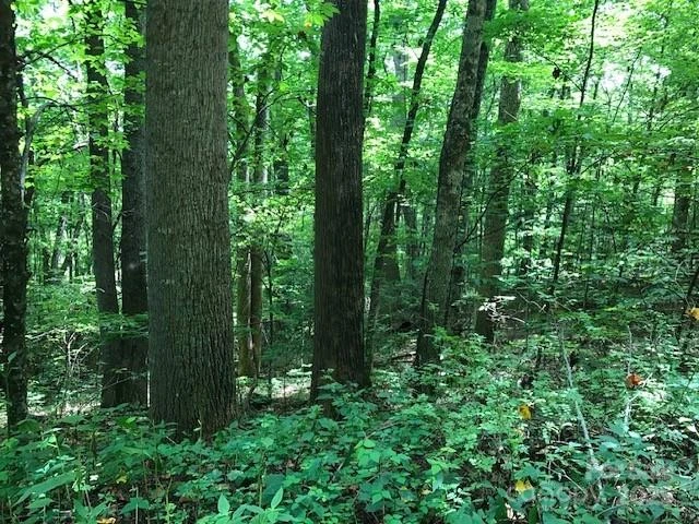 00 Red Oak Lane #Lot #24 - Photo 6