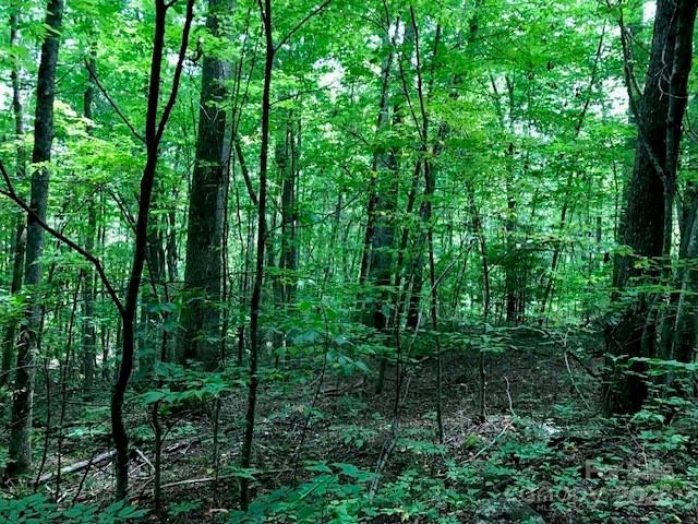 00 Red Oak Lane #Lot #24 - Photo 7