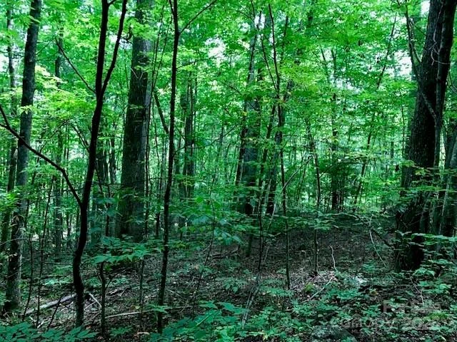 00 Red Oak Lane #Lot #24 - Photo 7